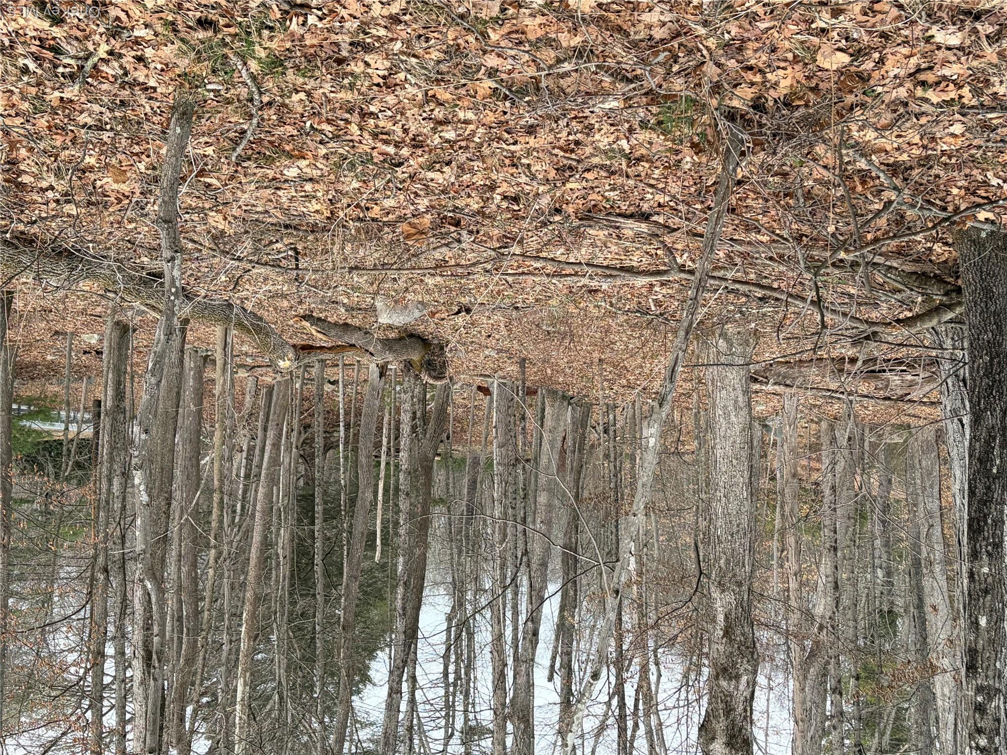 1501 Us Route 209 Property Photo 13