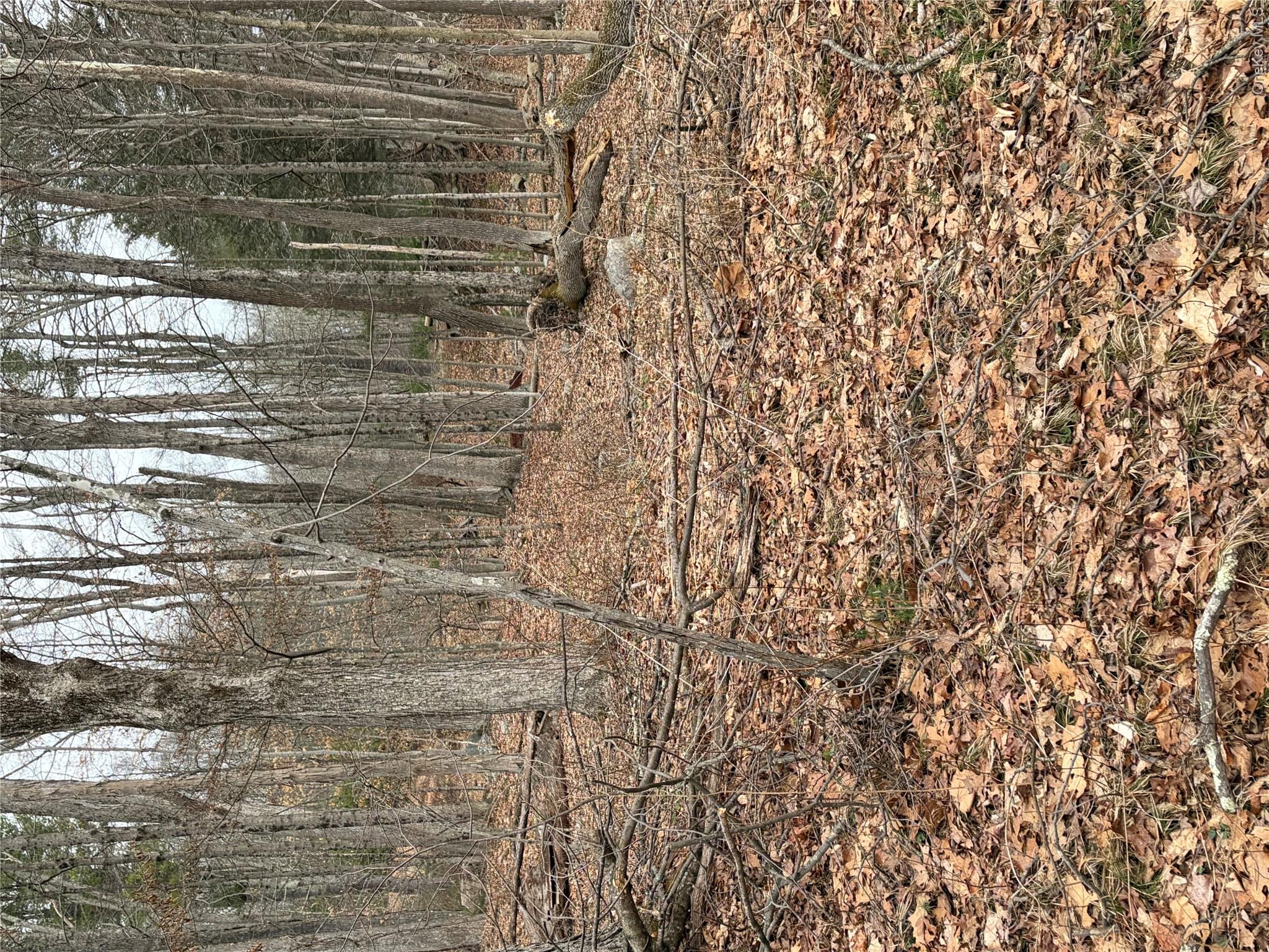 1501 Us Route 209 Property Photo 14