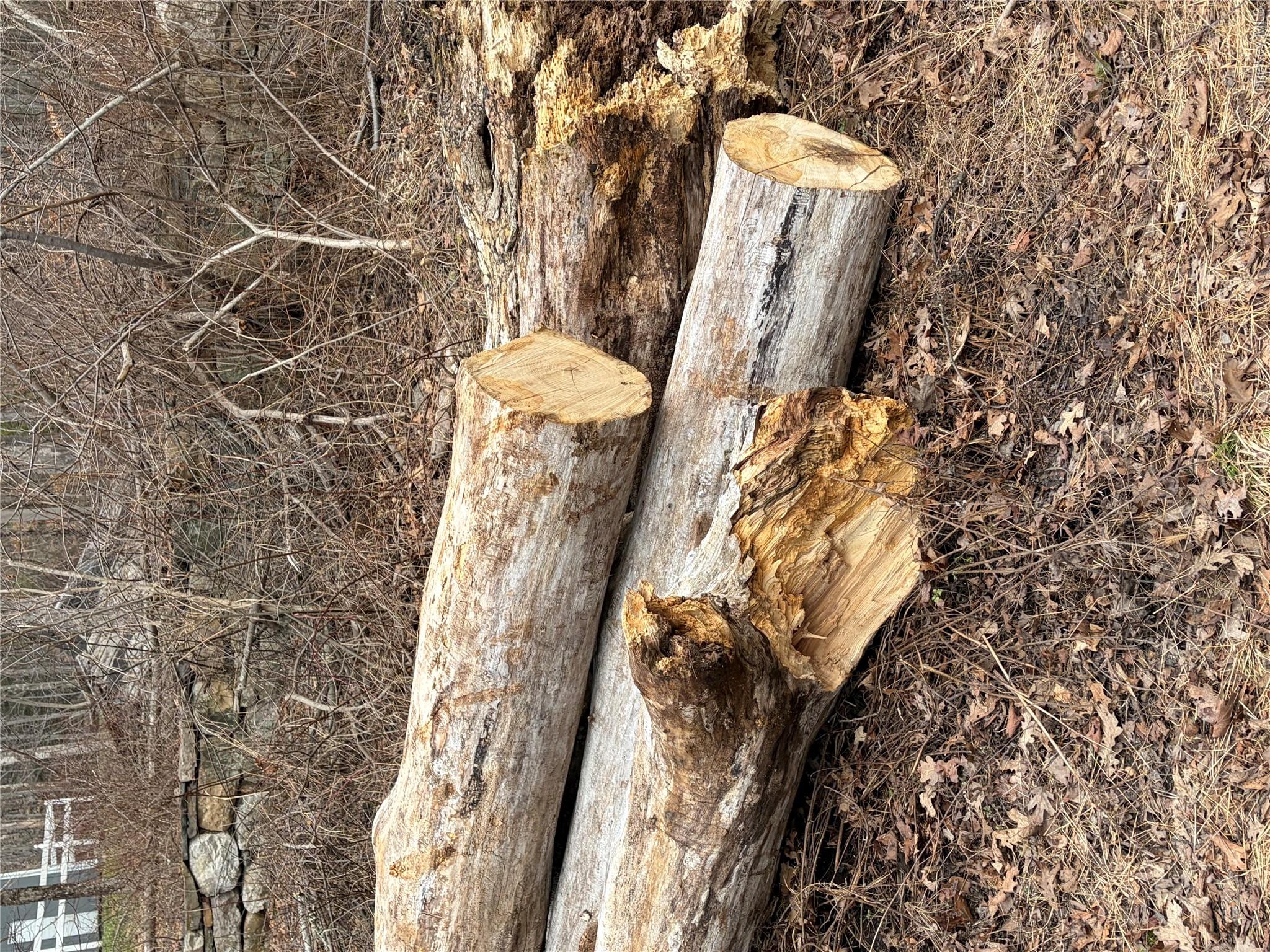 1501 Us Route 209 Property Photo 16