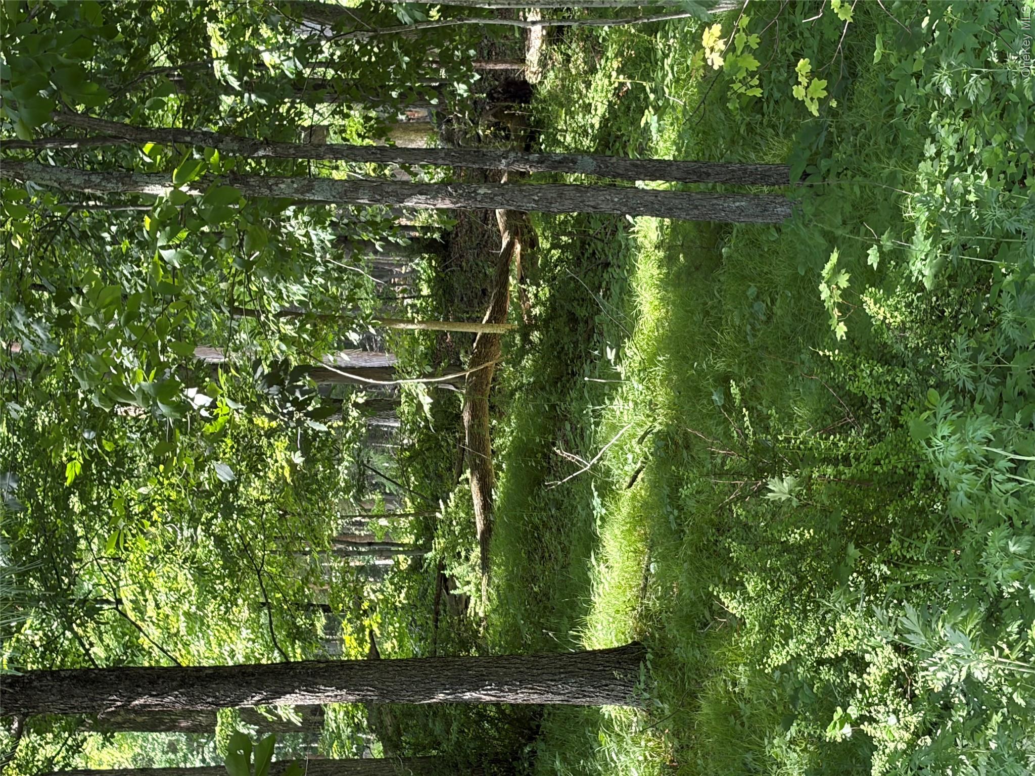 1501 Us Route 209 Property Photo 17