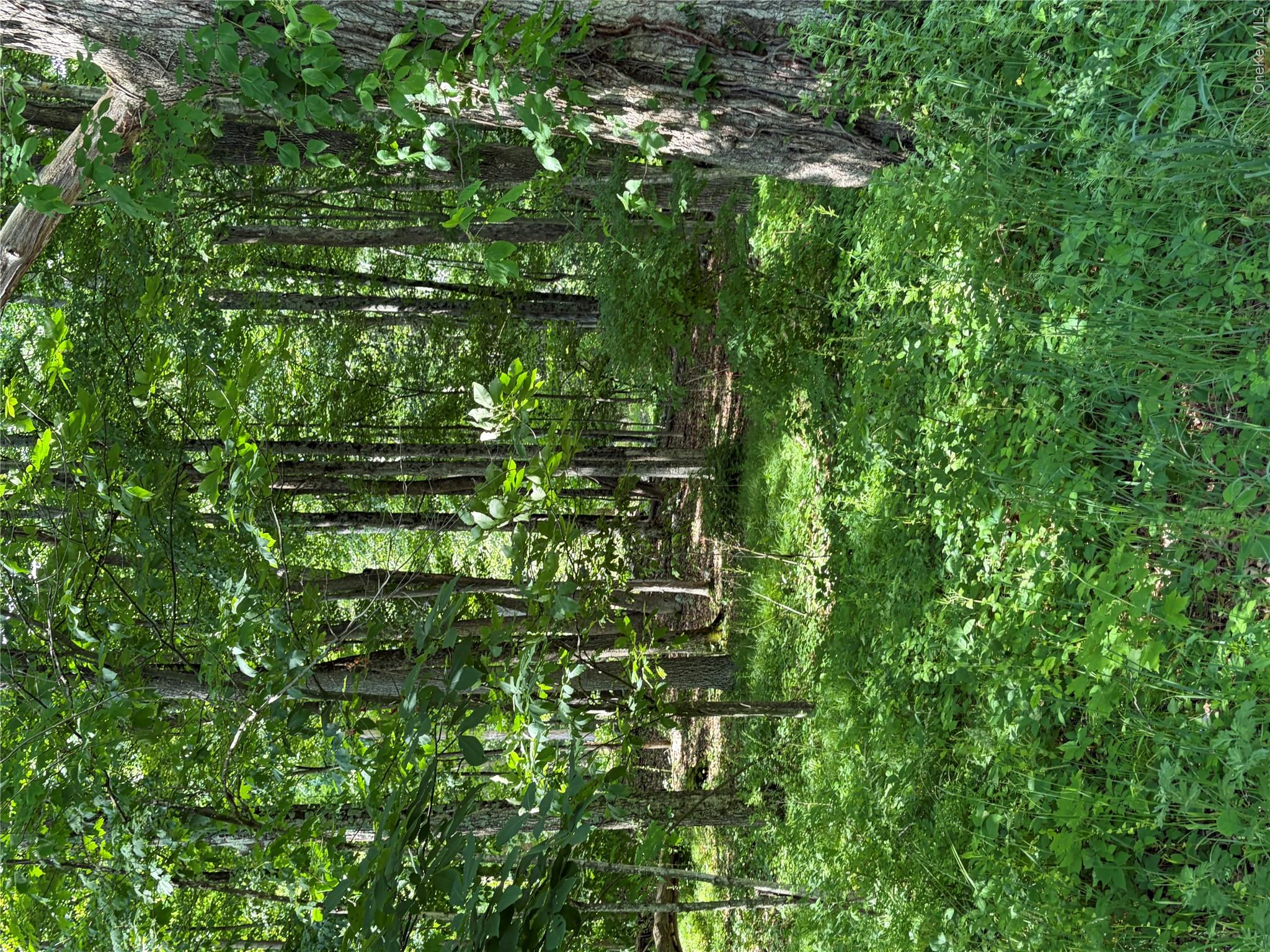 1501 Us Route 209 Property Photo 18
