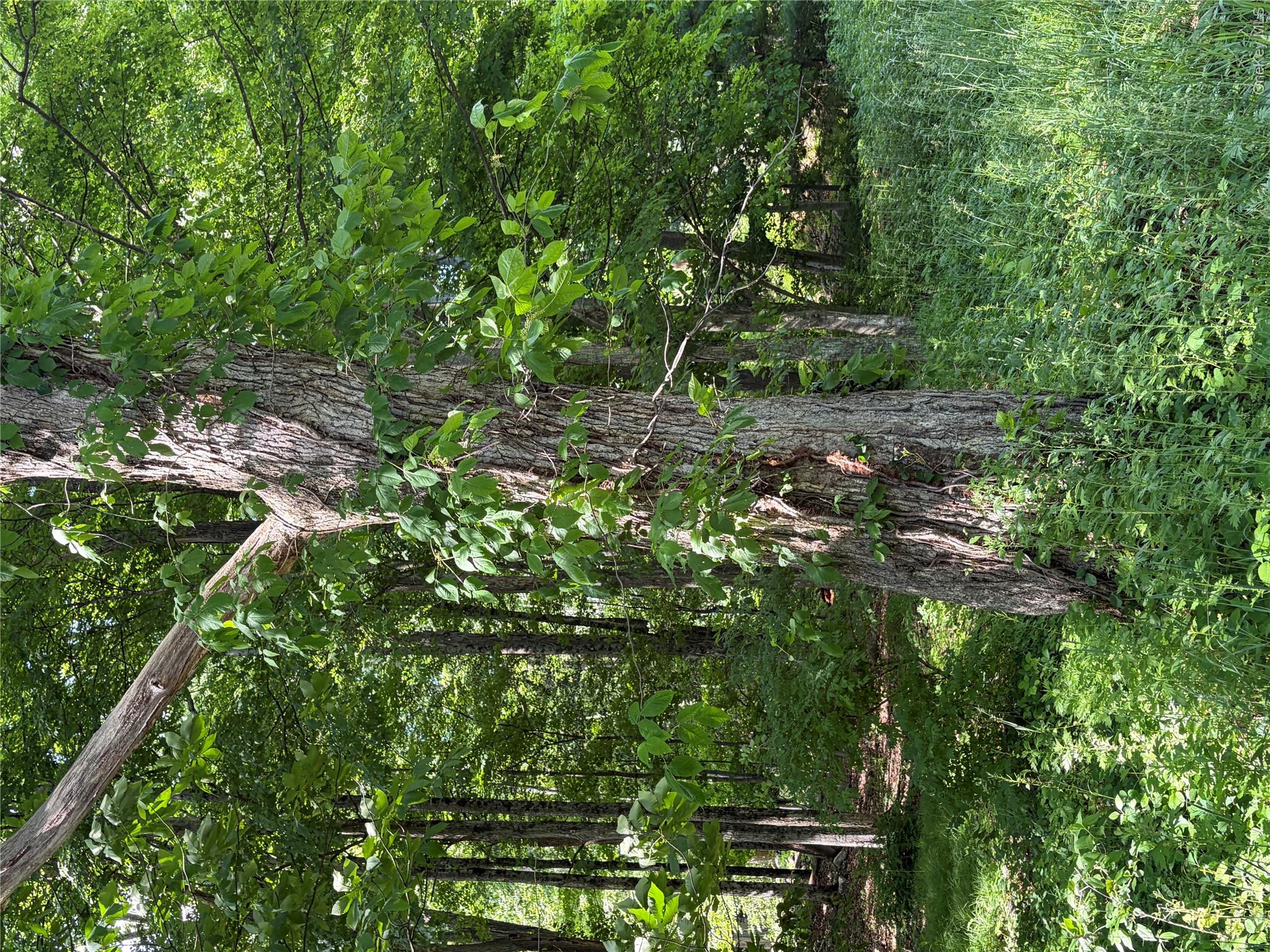 1501 Us Route 209 Property Photo 19
