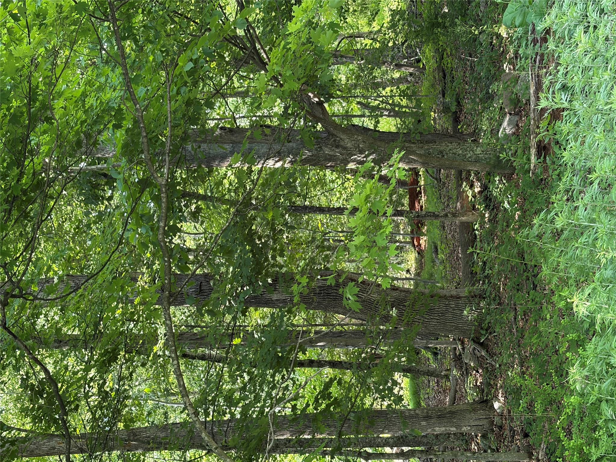 1501 Us Route 209 Property Photo 20