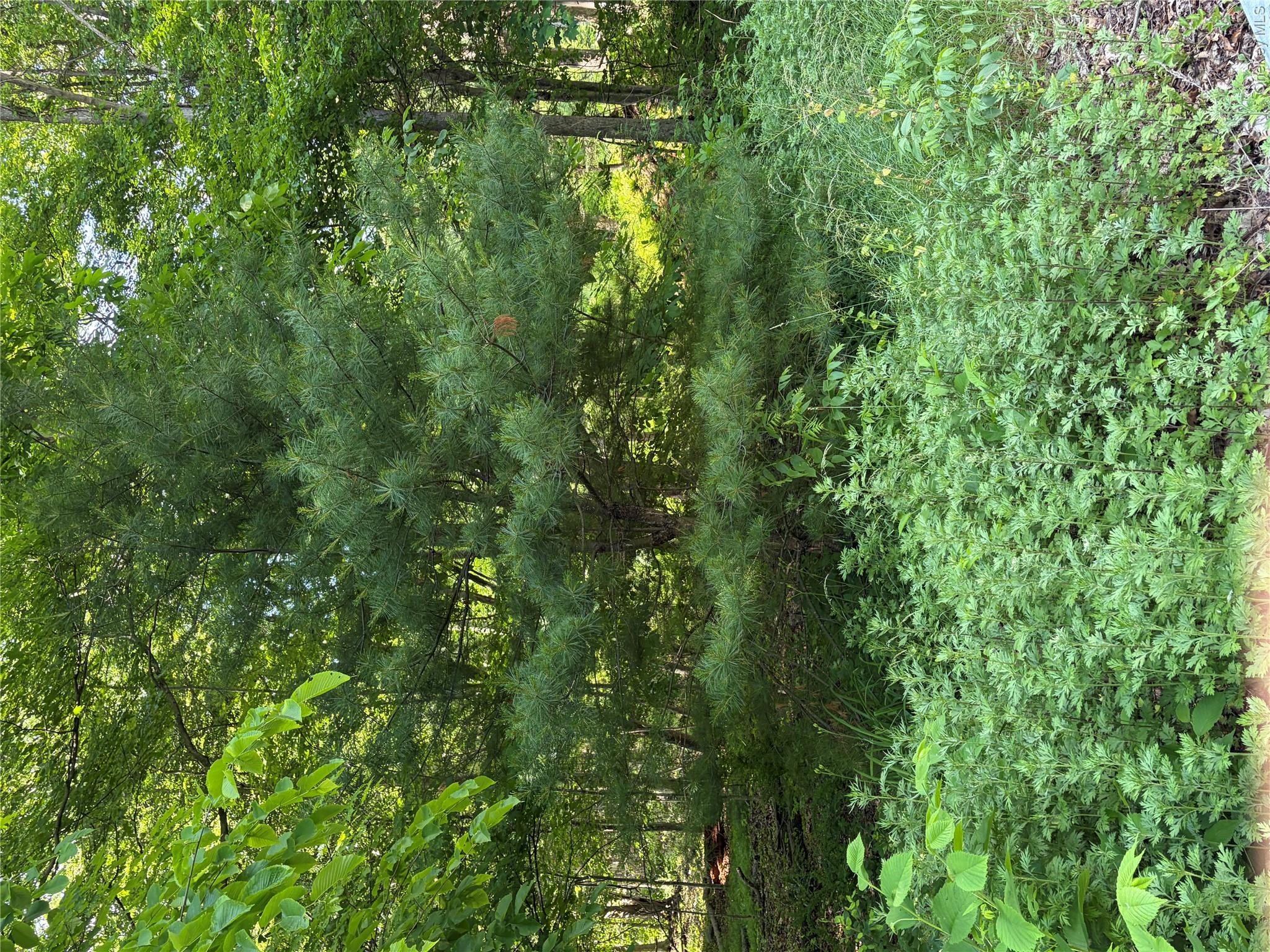 1501 Us Route 209 Property Photo 21