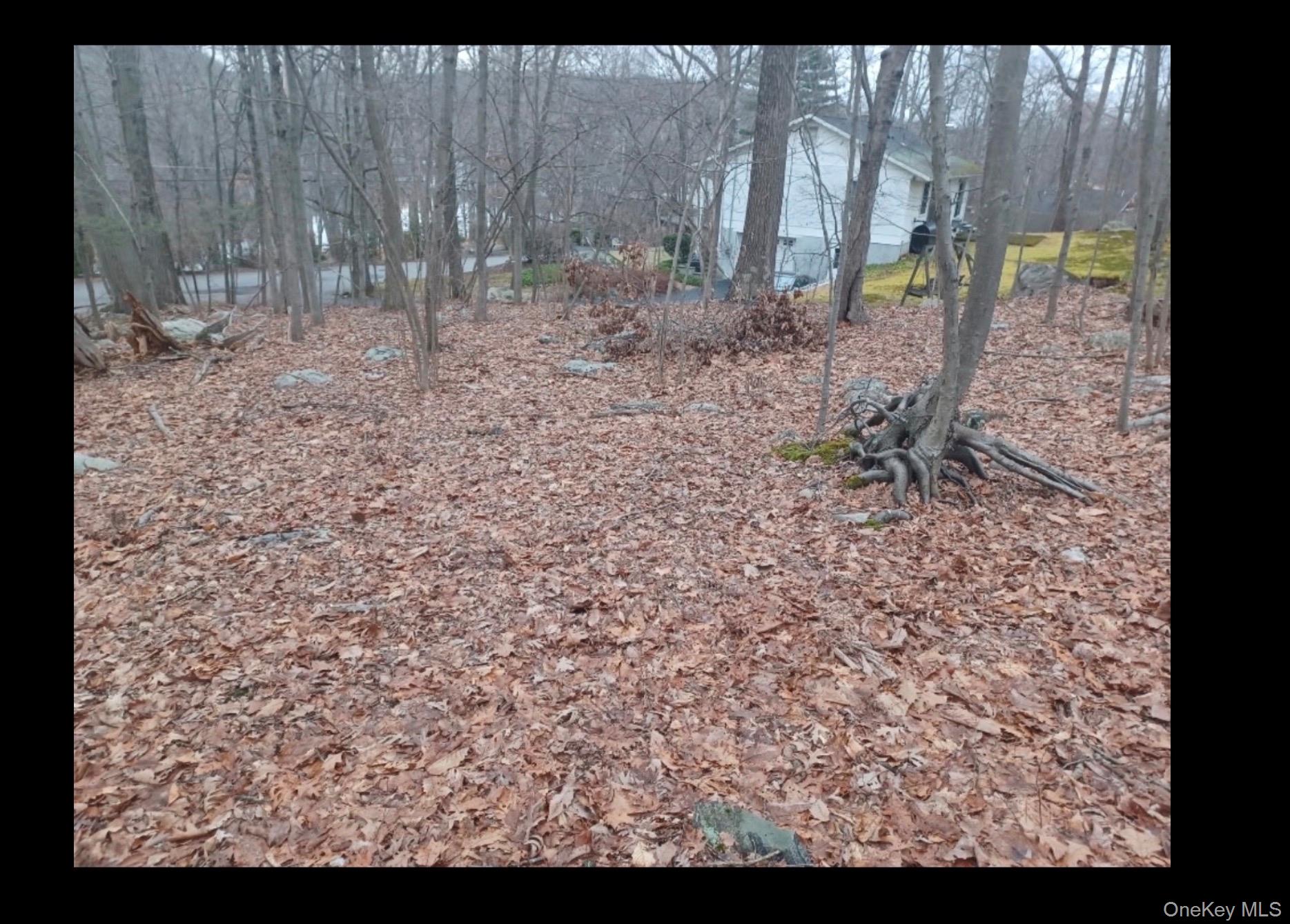 27 Jean Drive Property Photo 3