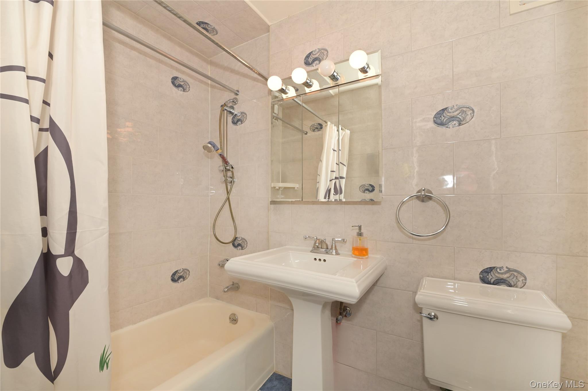 61-20 Grand Central Parkway A1204 Property Photo 9