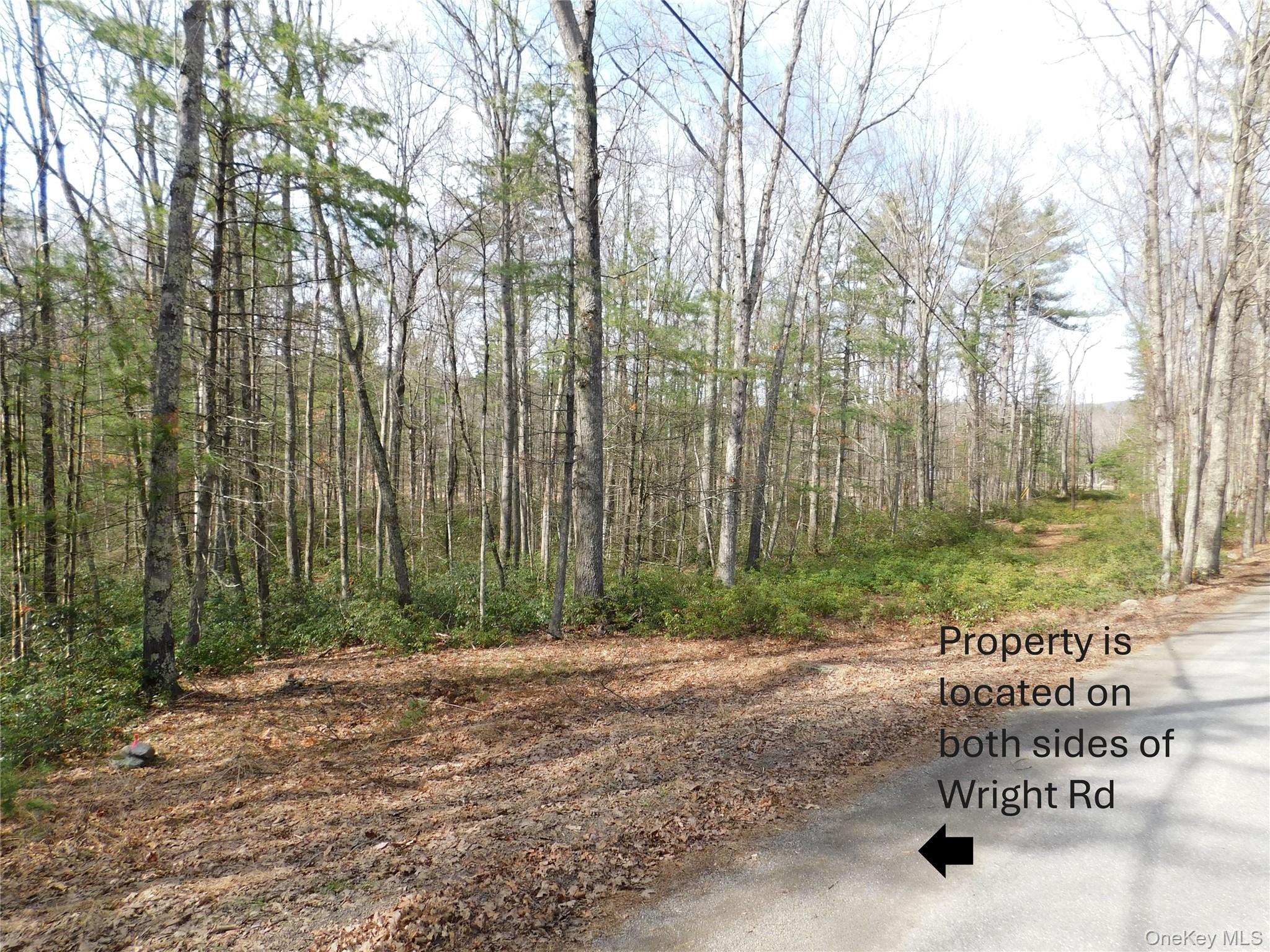 Tbd Wright Rd Property Photo 6