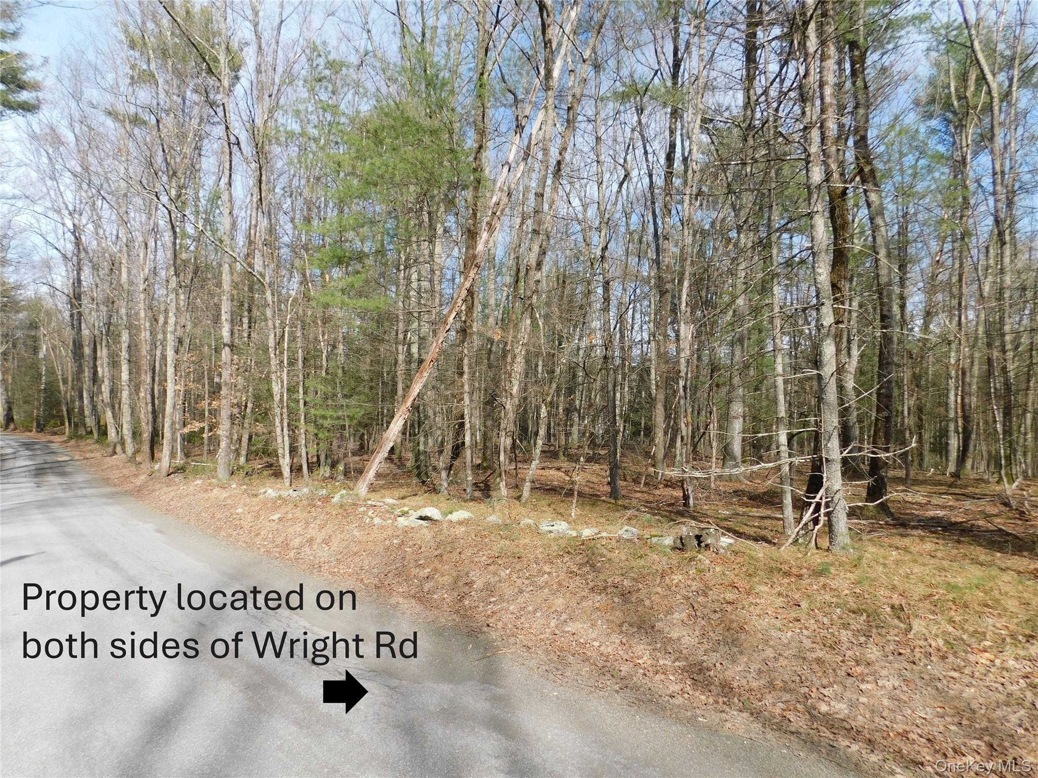 Tbd Wright Rd Property Photo 7