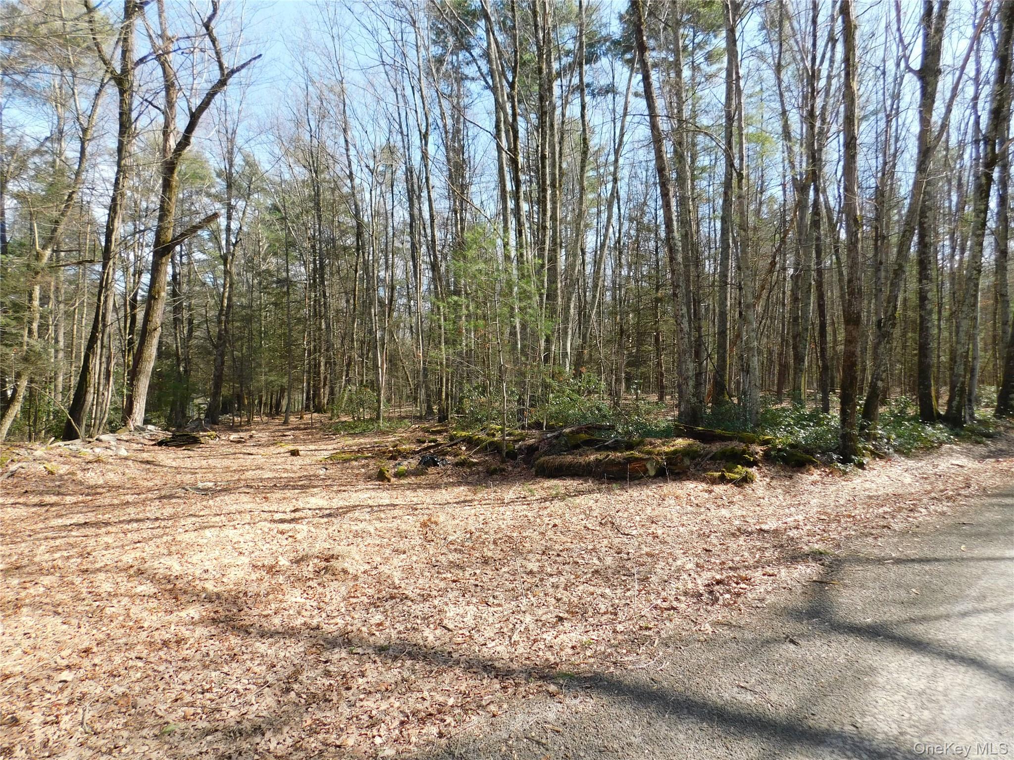 Tbd Wright Rd Property Photo 8
