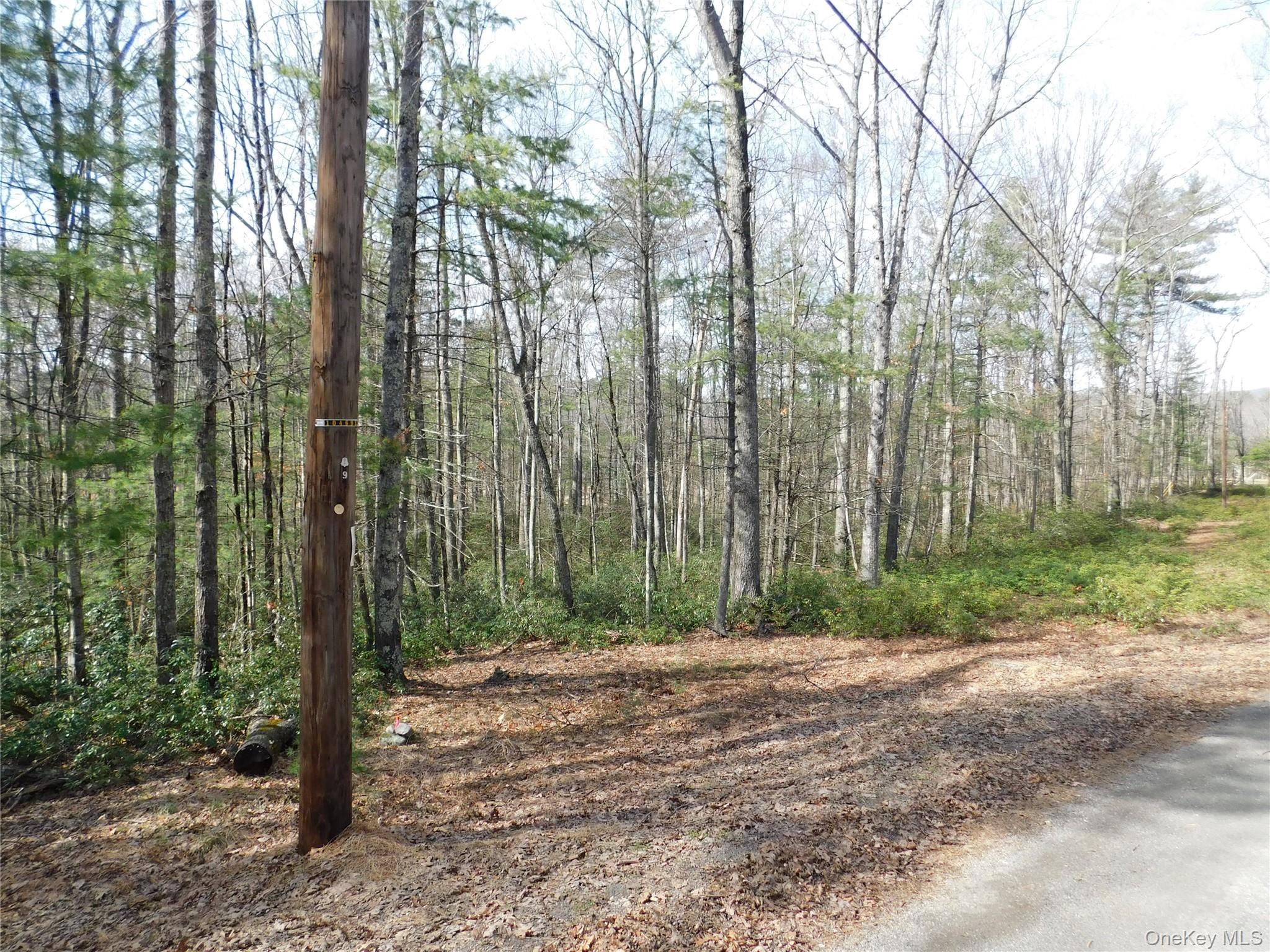 Tbd Wright Rd Property Photo 9