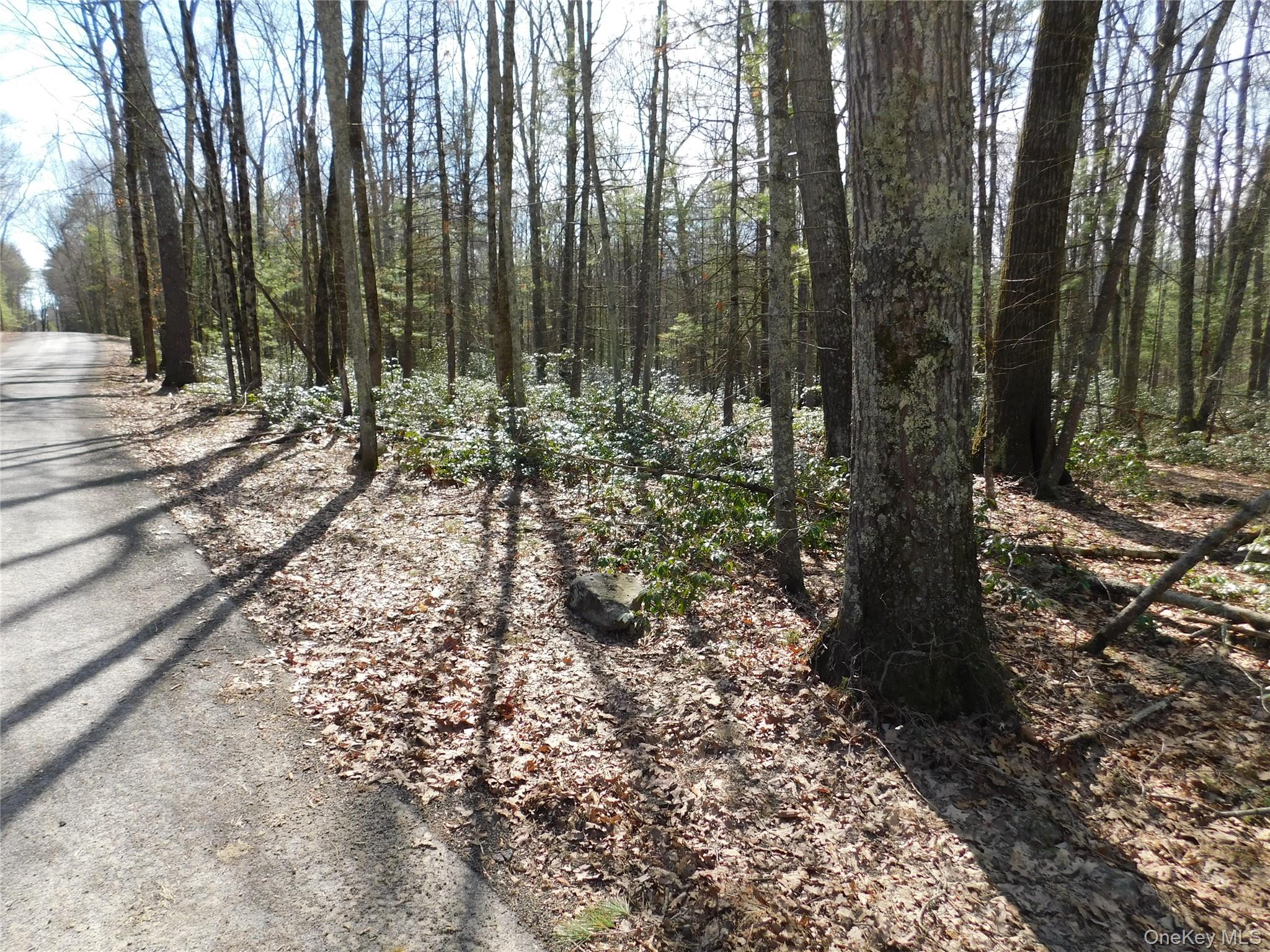 Tbd Wright Rd Property Photo 10