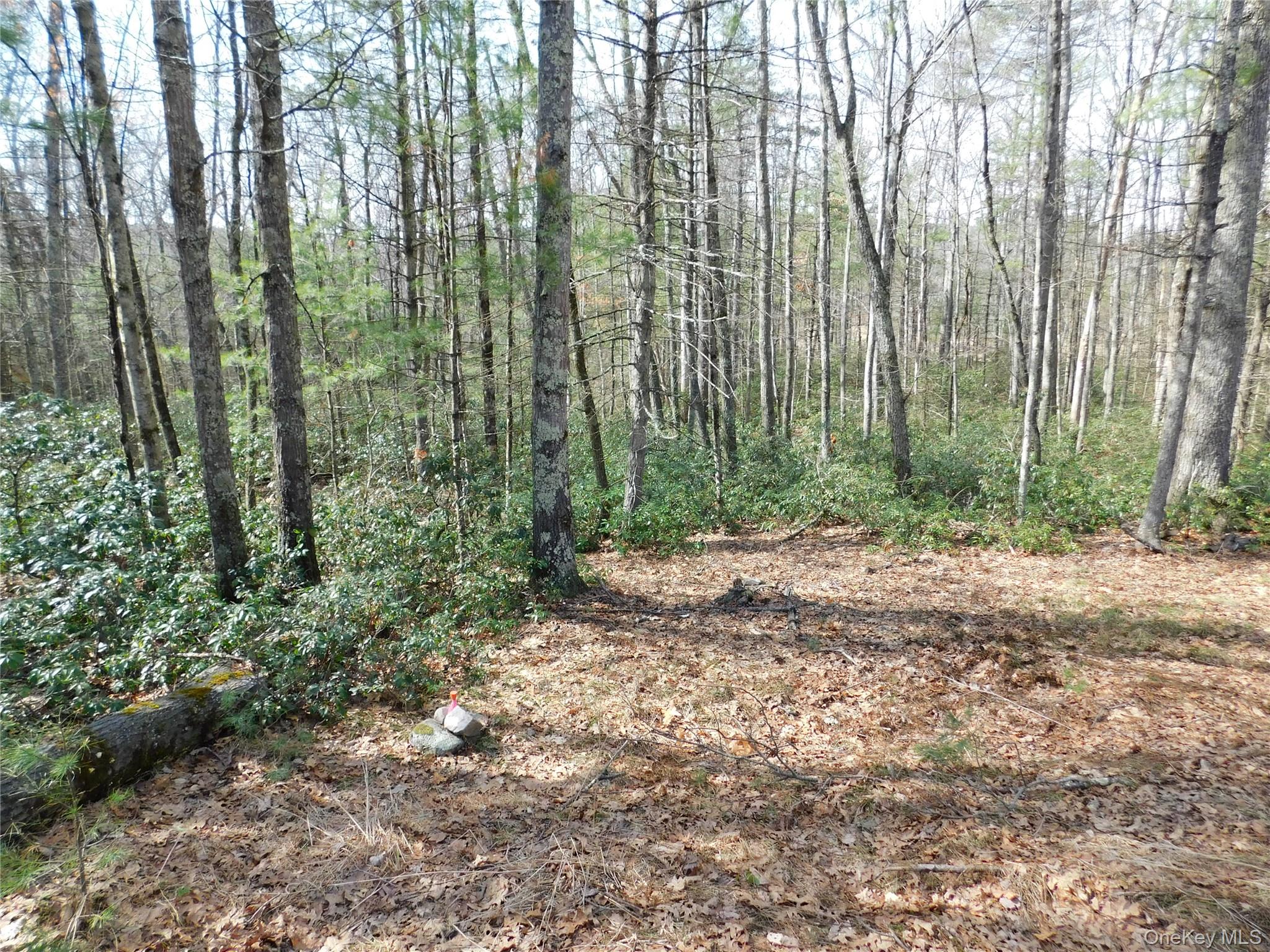 Tbd Wright Rd Property Photo 11