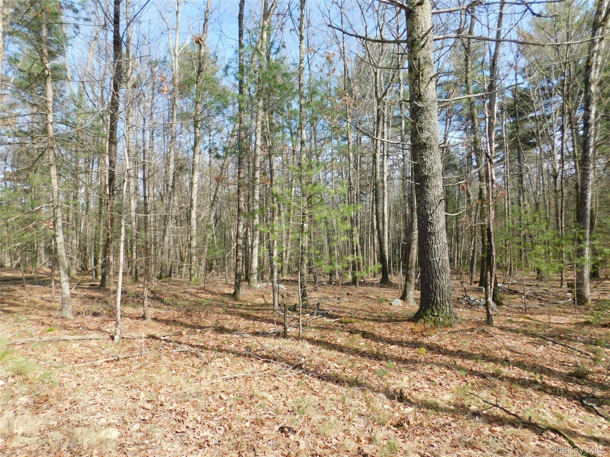 Tbd Wright Rd Property Photo 12