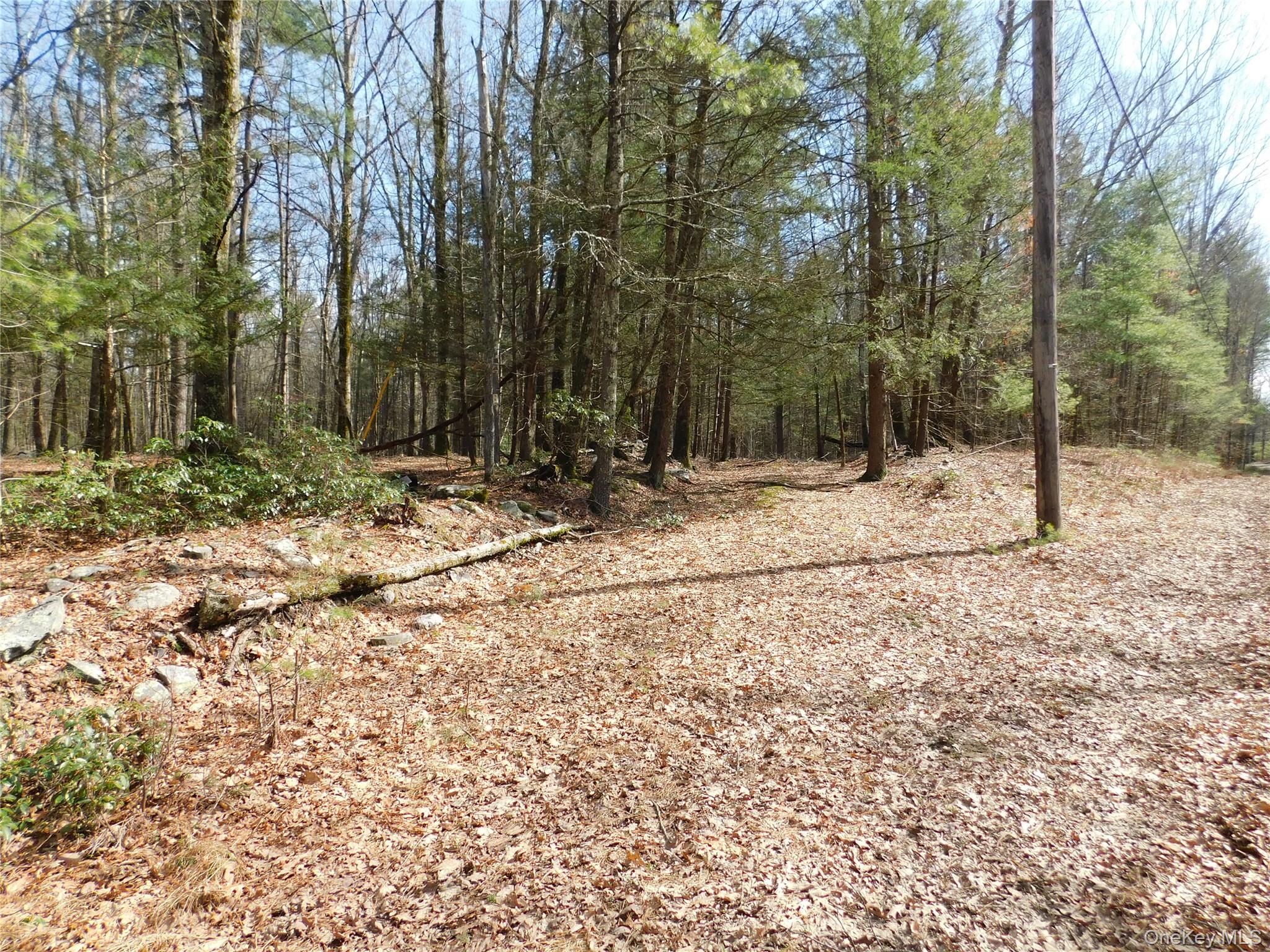 Tbd Wright Rd Property Photo 13