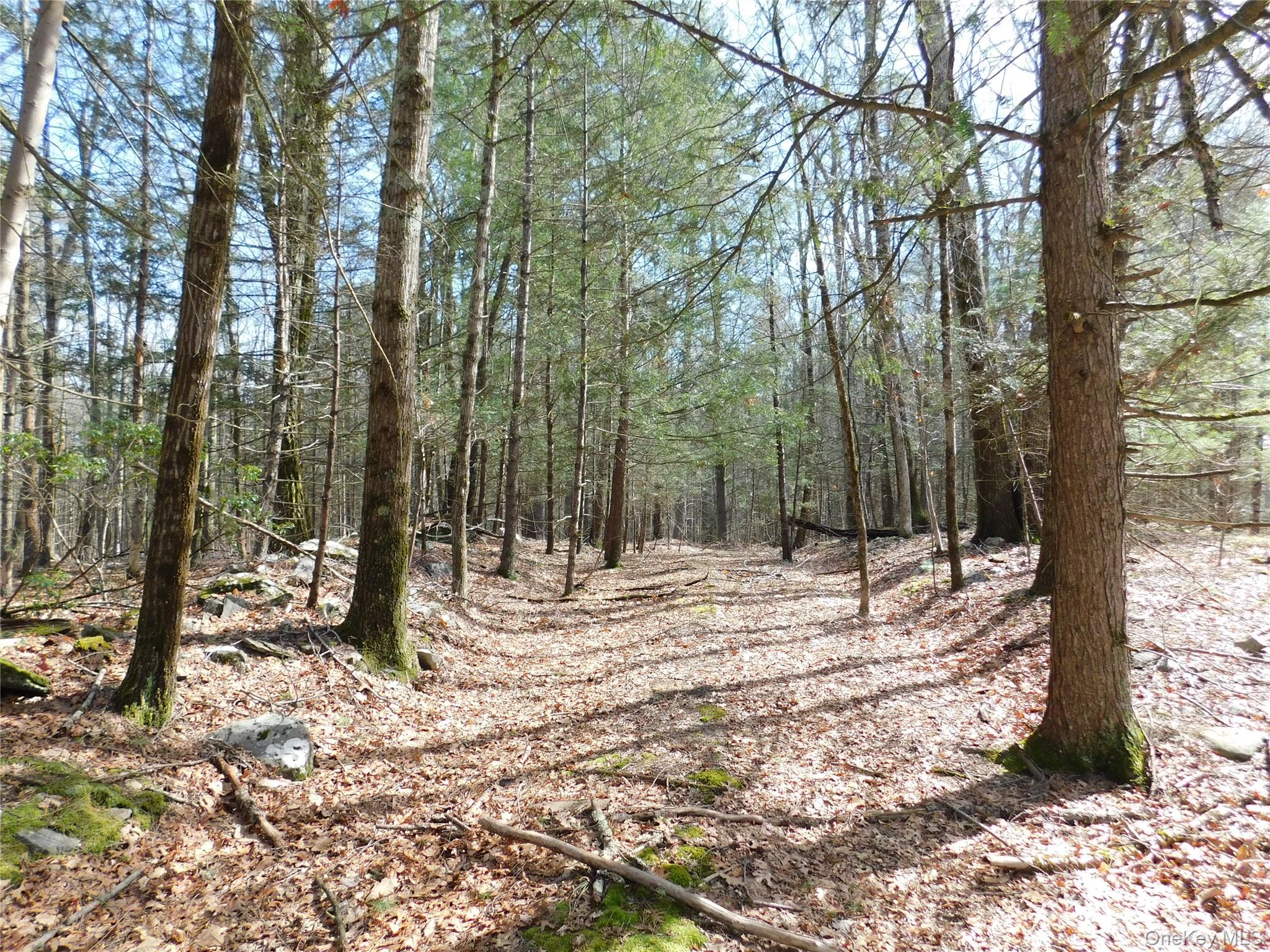 Tbd Wright Rd Property Photo 14