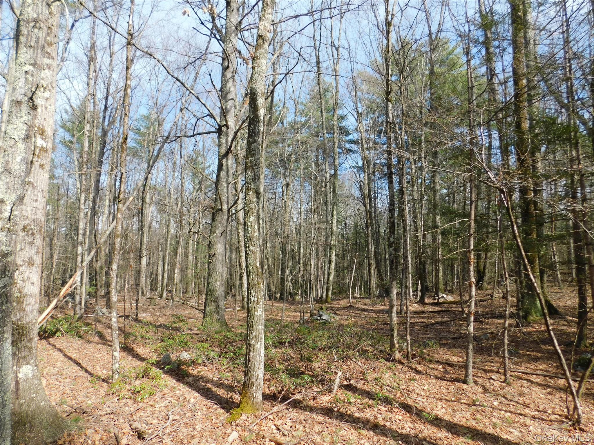 Tbd Wright Rd Property Photo 15