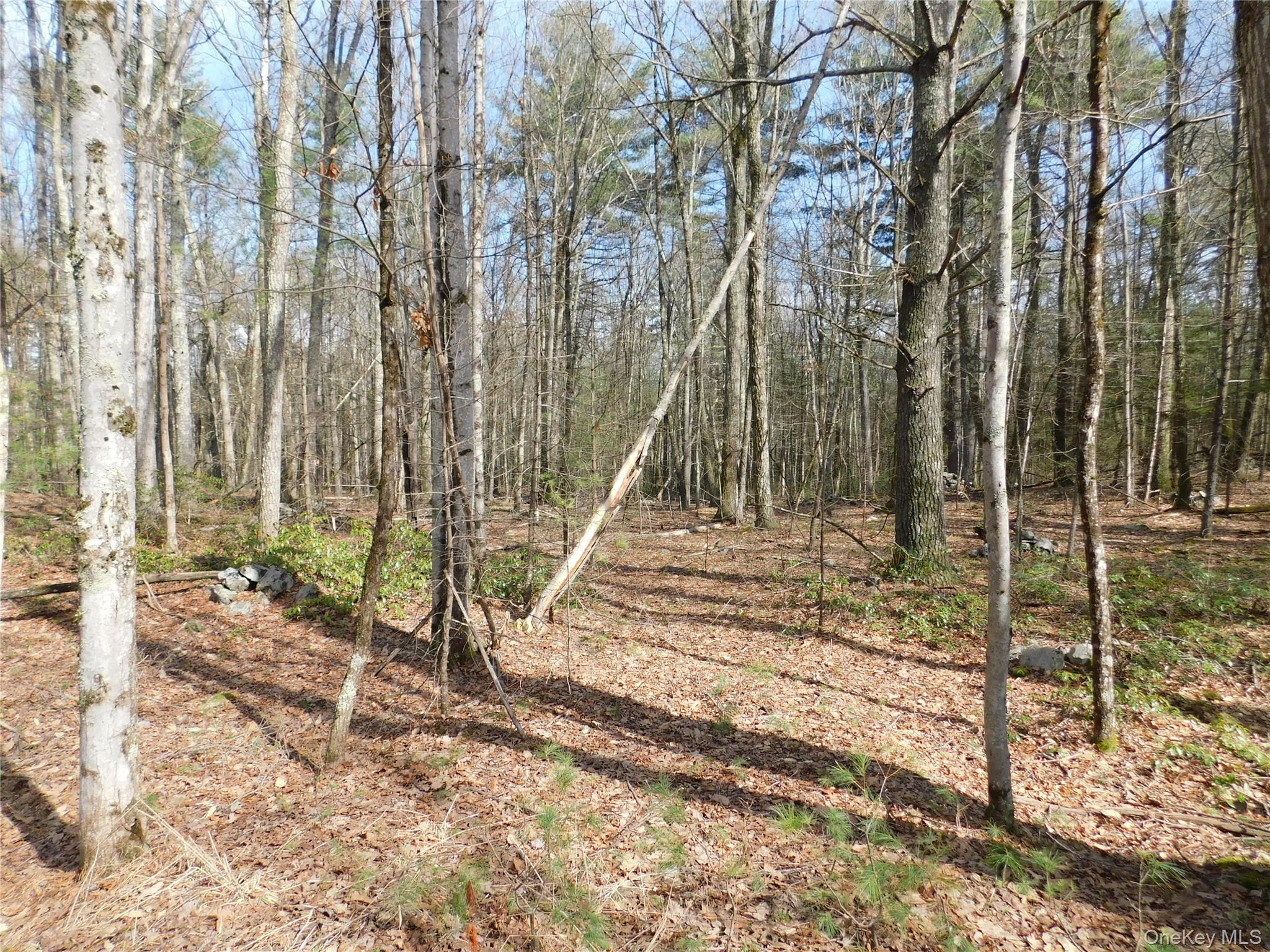 Tbd Wright Rd Property Photo 16