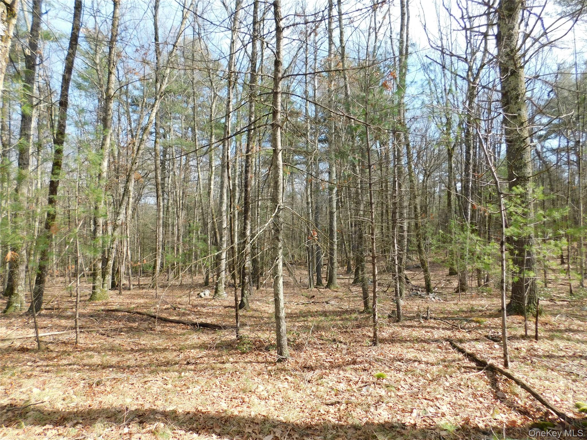 Tbd Wright Rd Property Photo 17