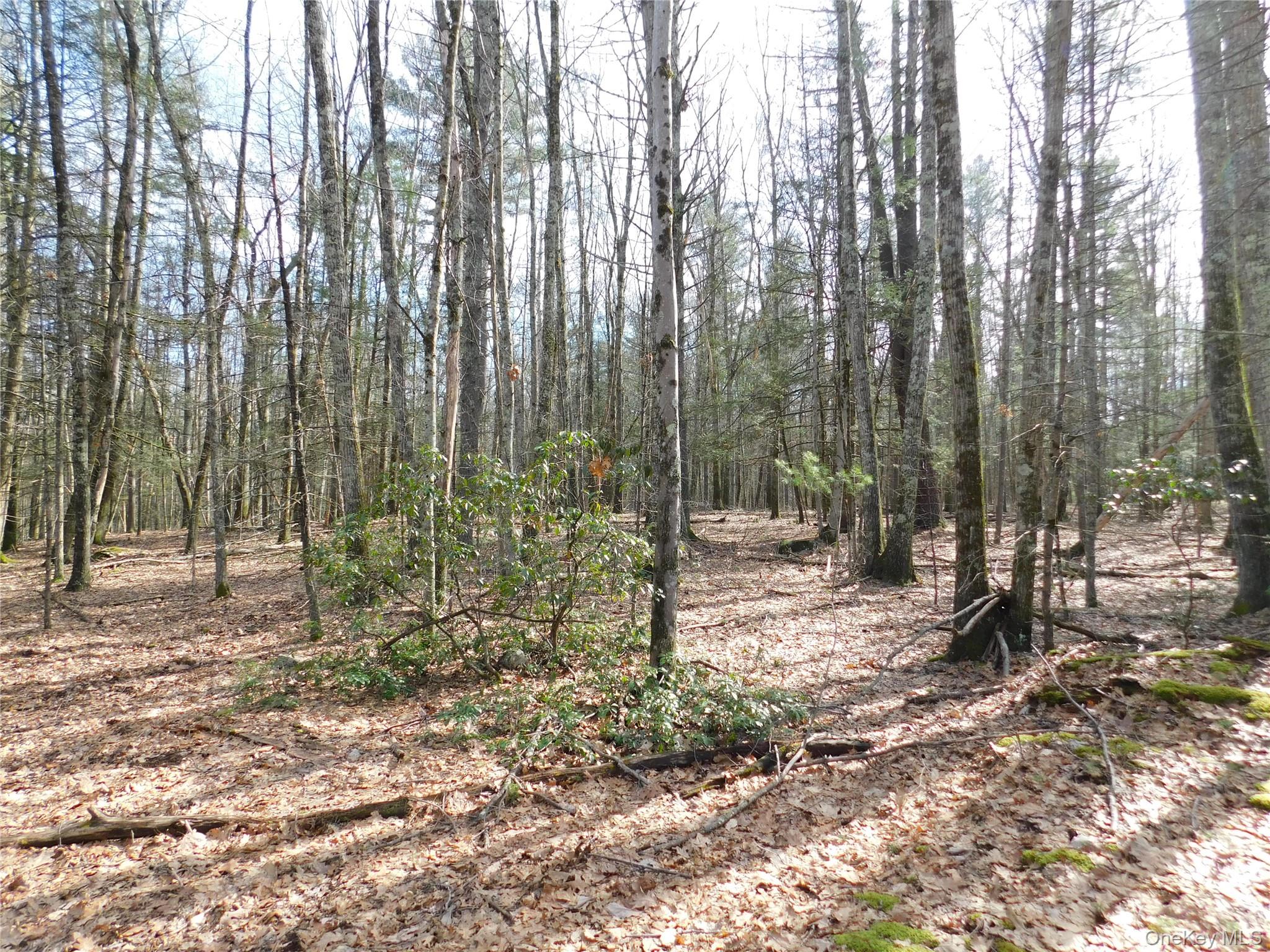 Tbd Wright Rd Property Photo 18