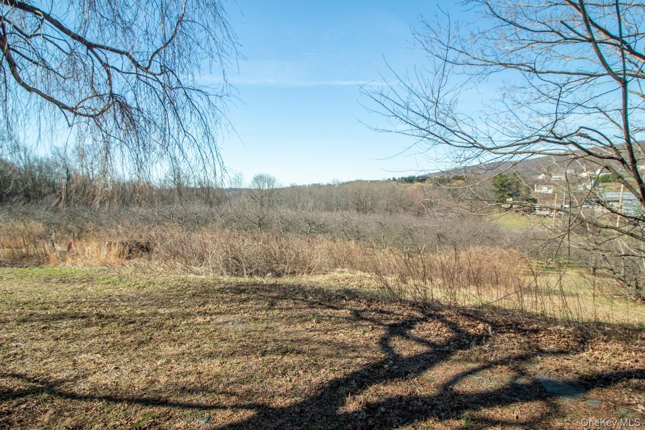 223 Plattekill Road Property Photo 5