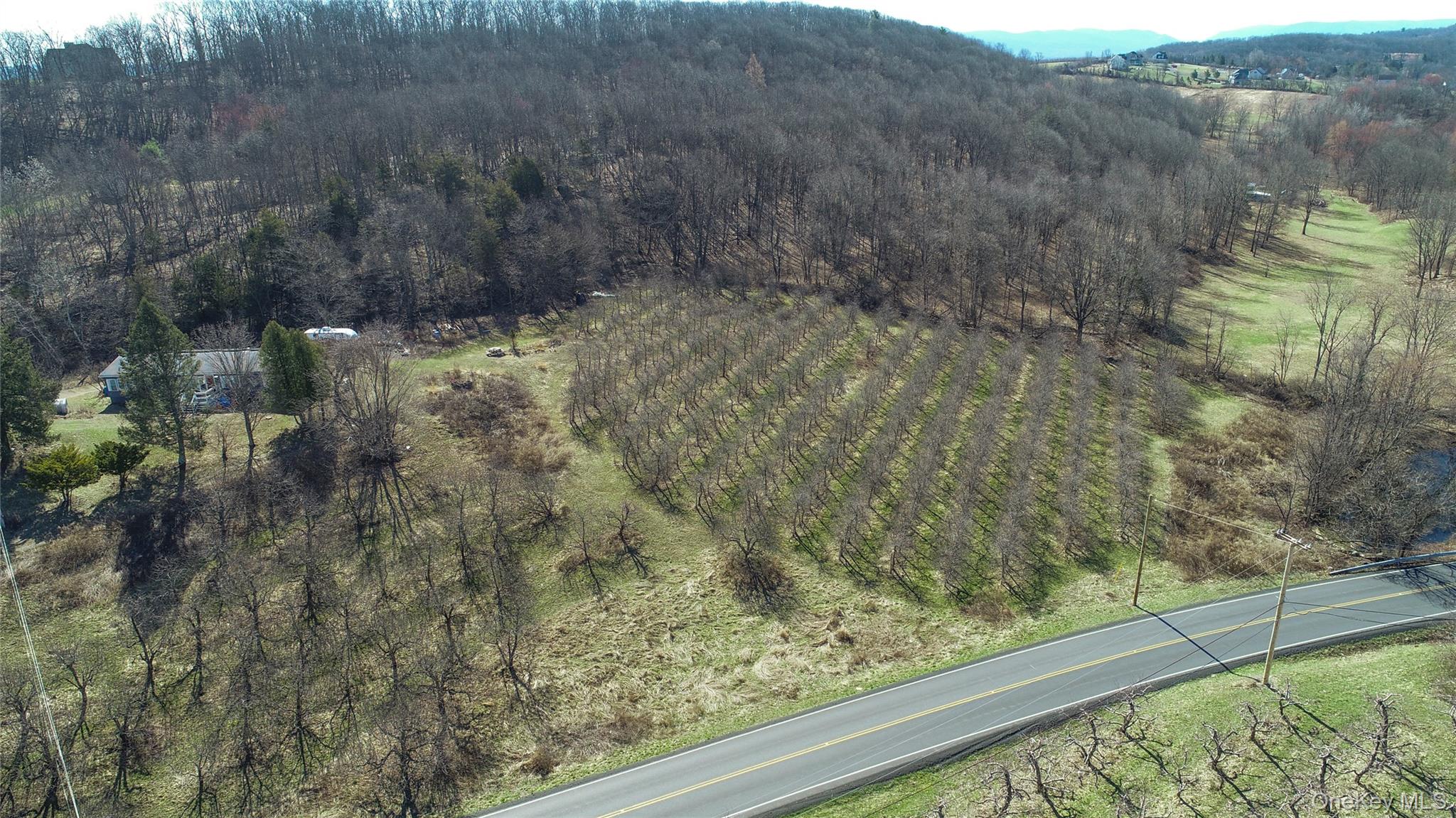223 Plattekill Road Property Photo 39