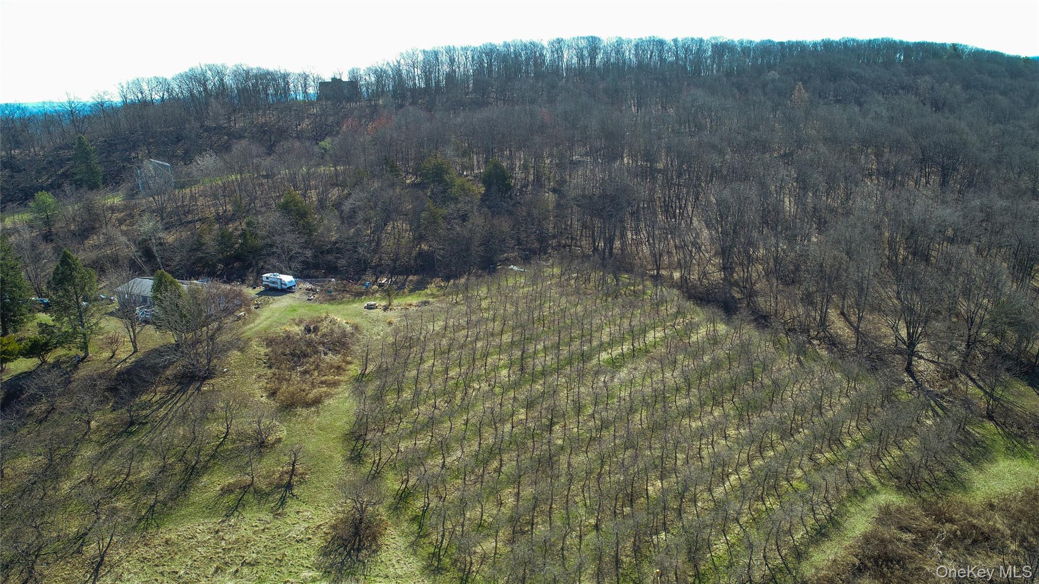 223 Plattekill Road Property Photo 41
