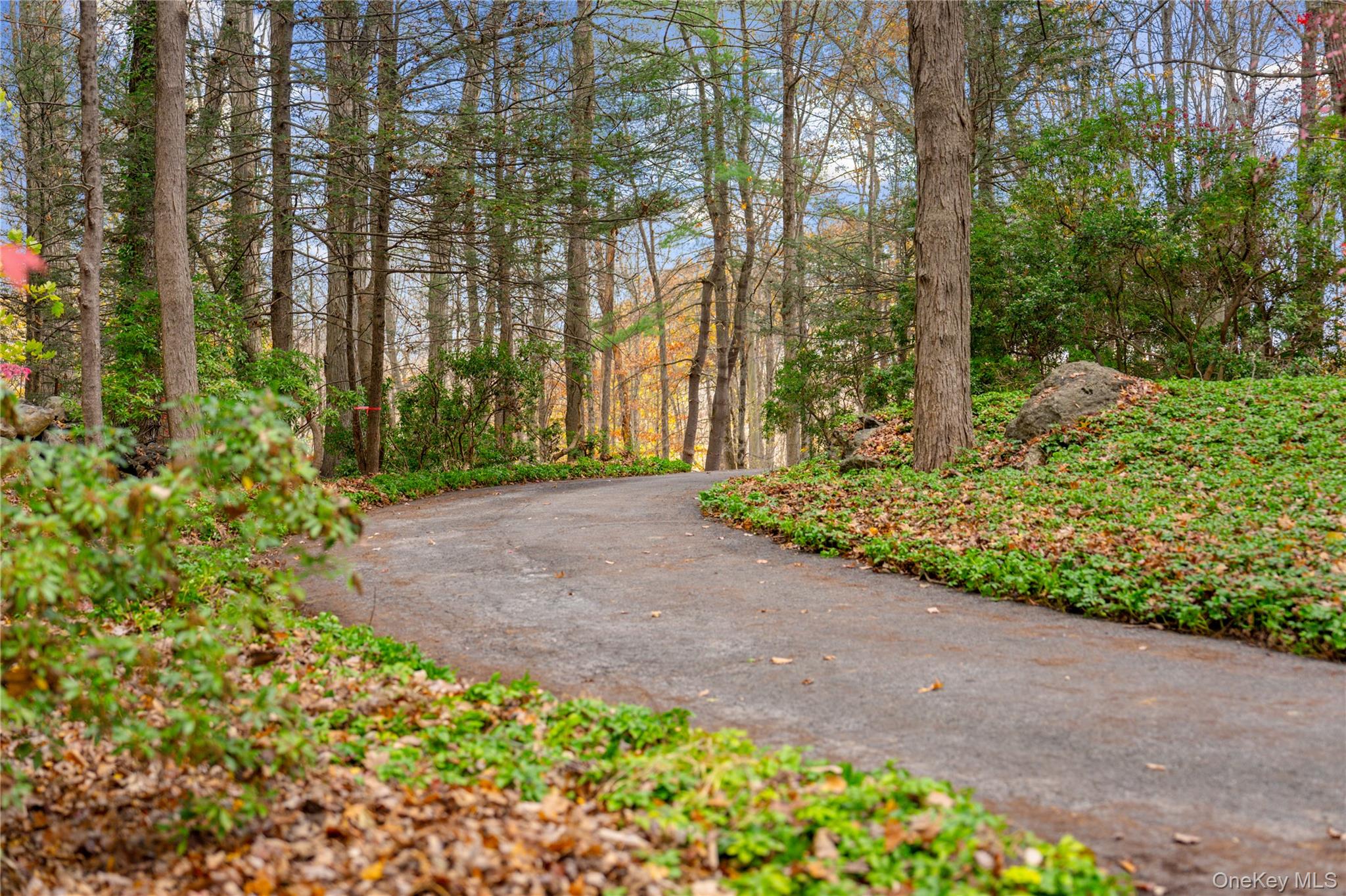 115 Old Roaring Brook Road Property Photo 17