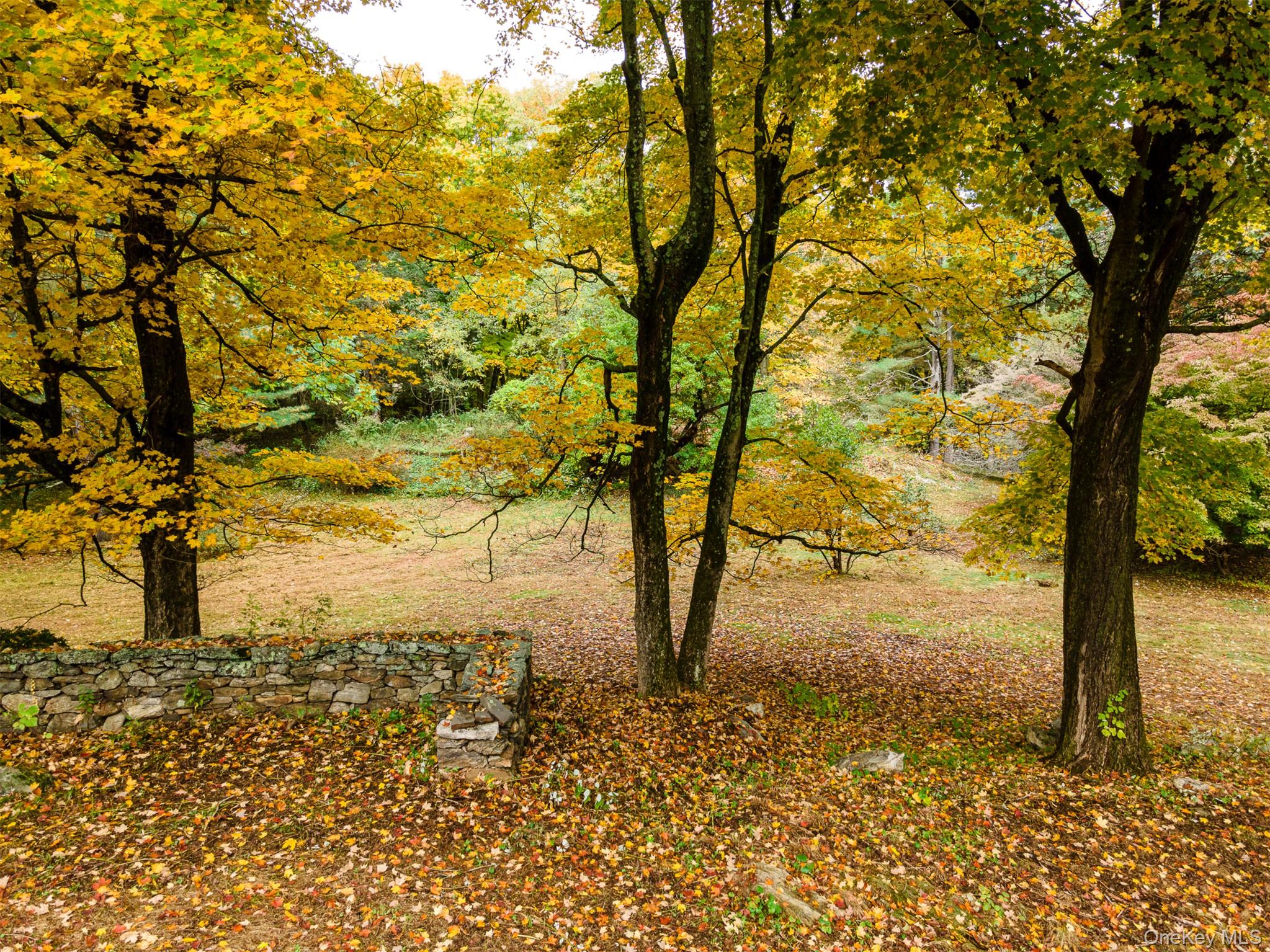 115 Old Roaring Brook Road Property Photo 19