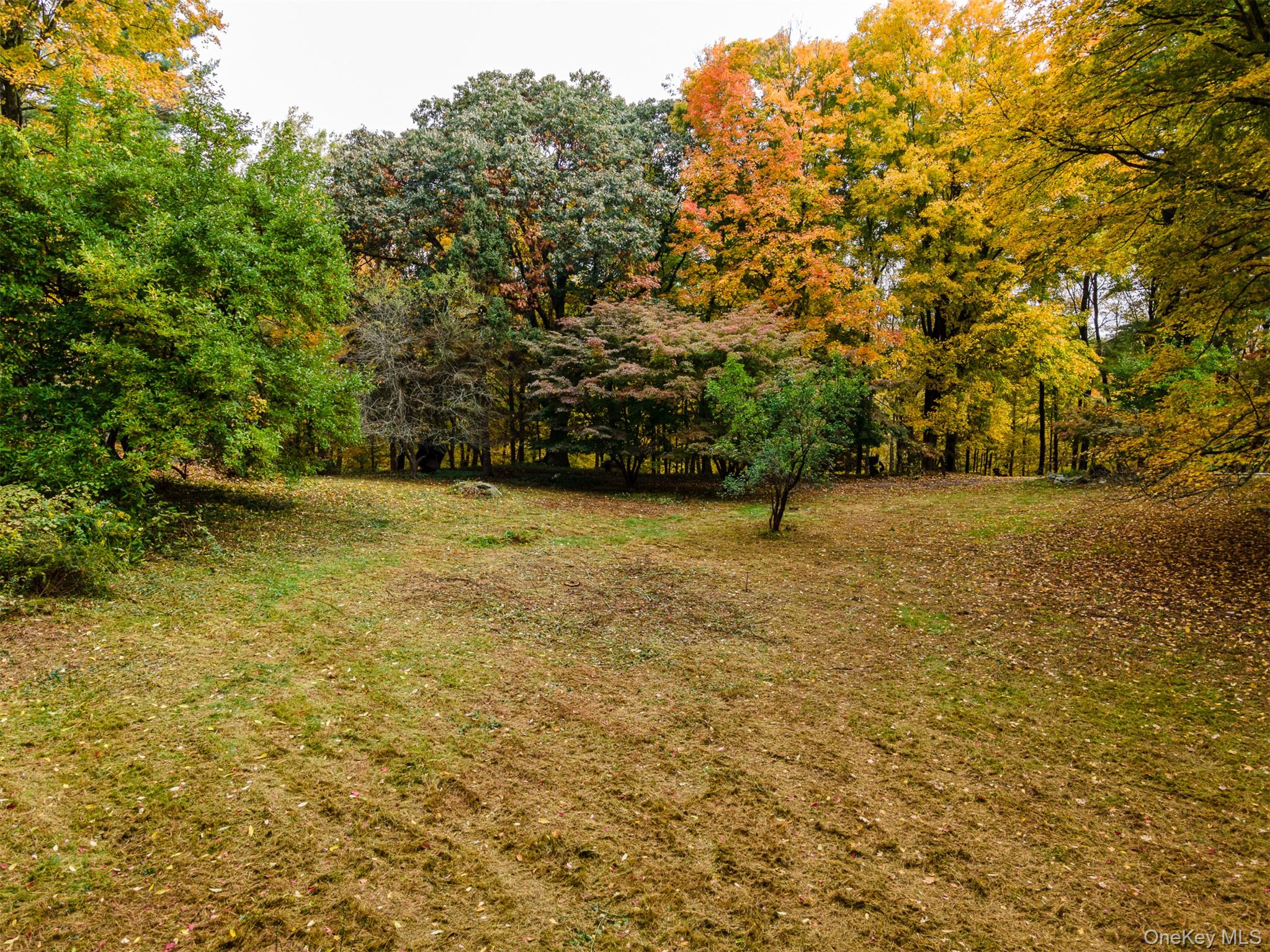 115 Old Roaring Brook Road Property Photo 21