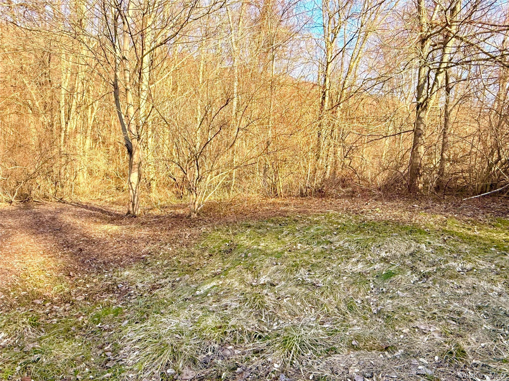 Route 22 Property Photo 1