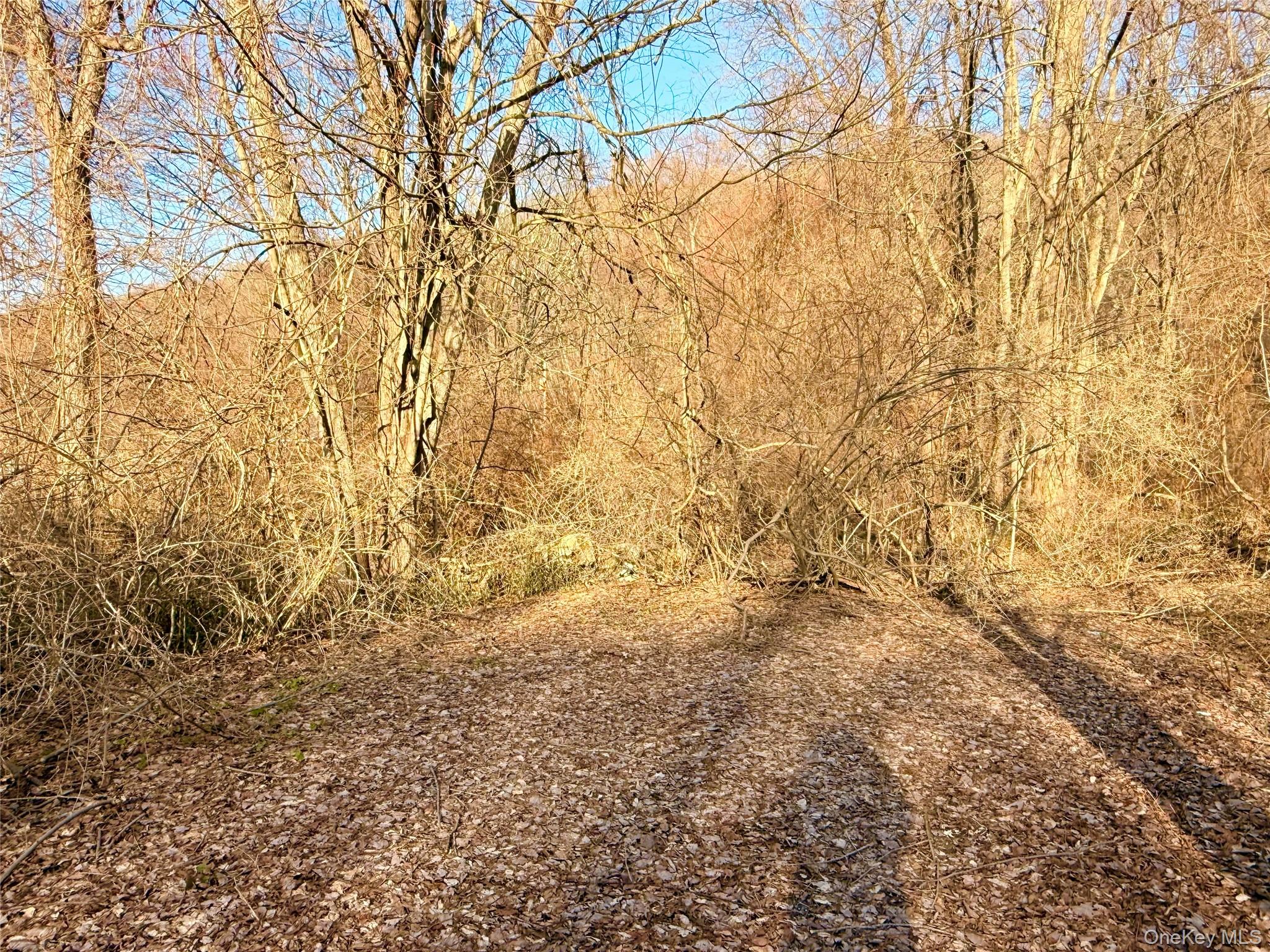 Route 22 Property Photo 5