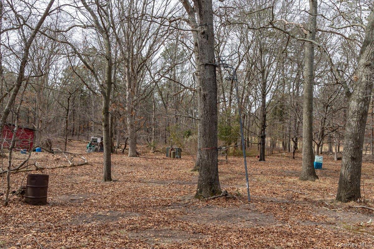 309 Primrose Path Property Photo 13