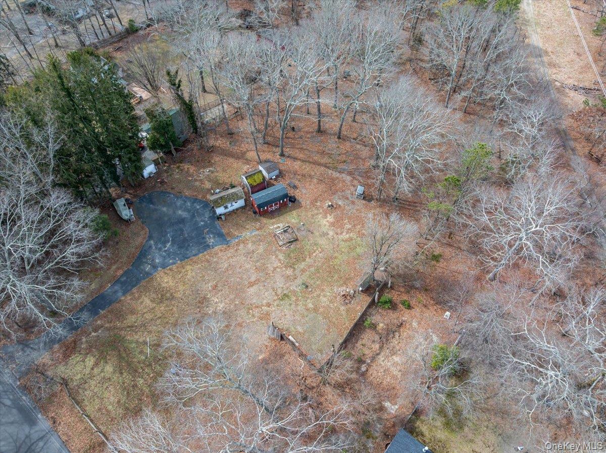 309 Primrose Path Property Photo 16