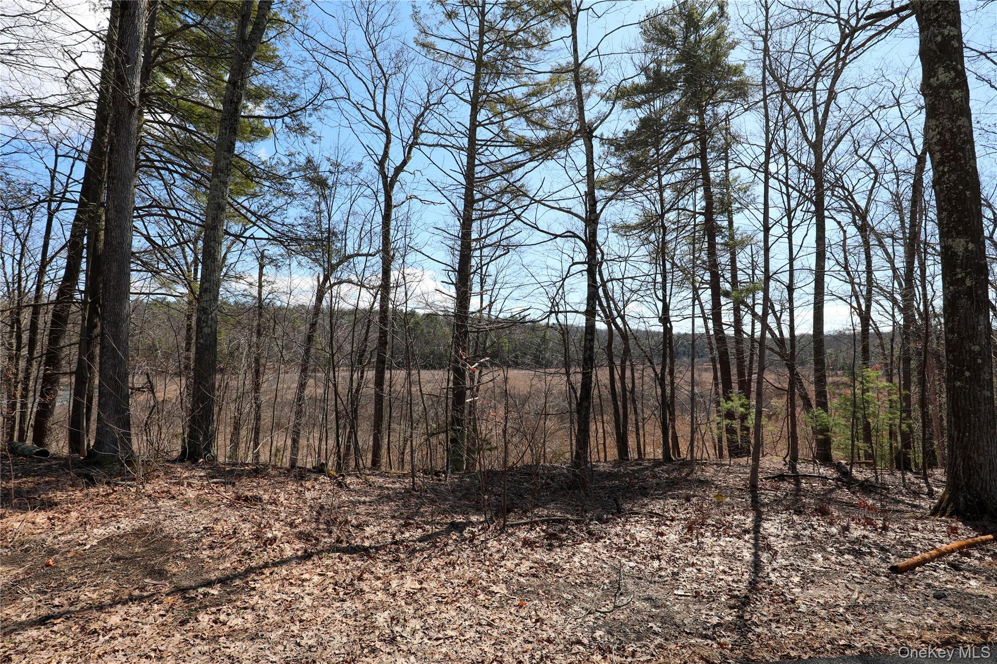 176 Lake Road Property Photo 2