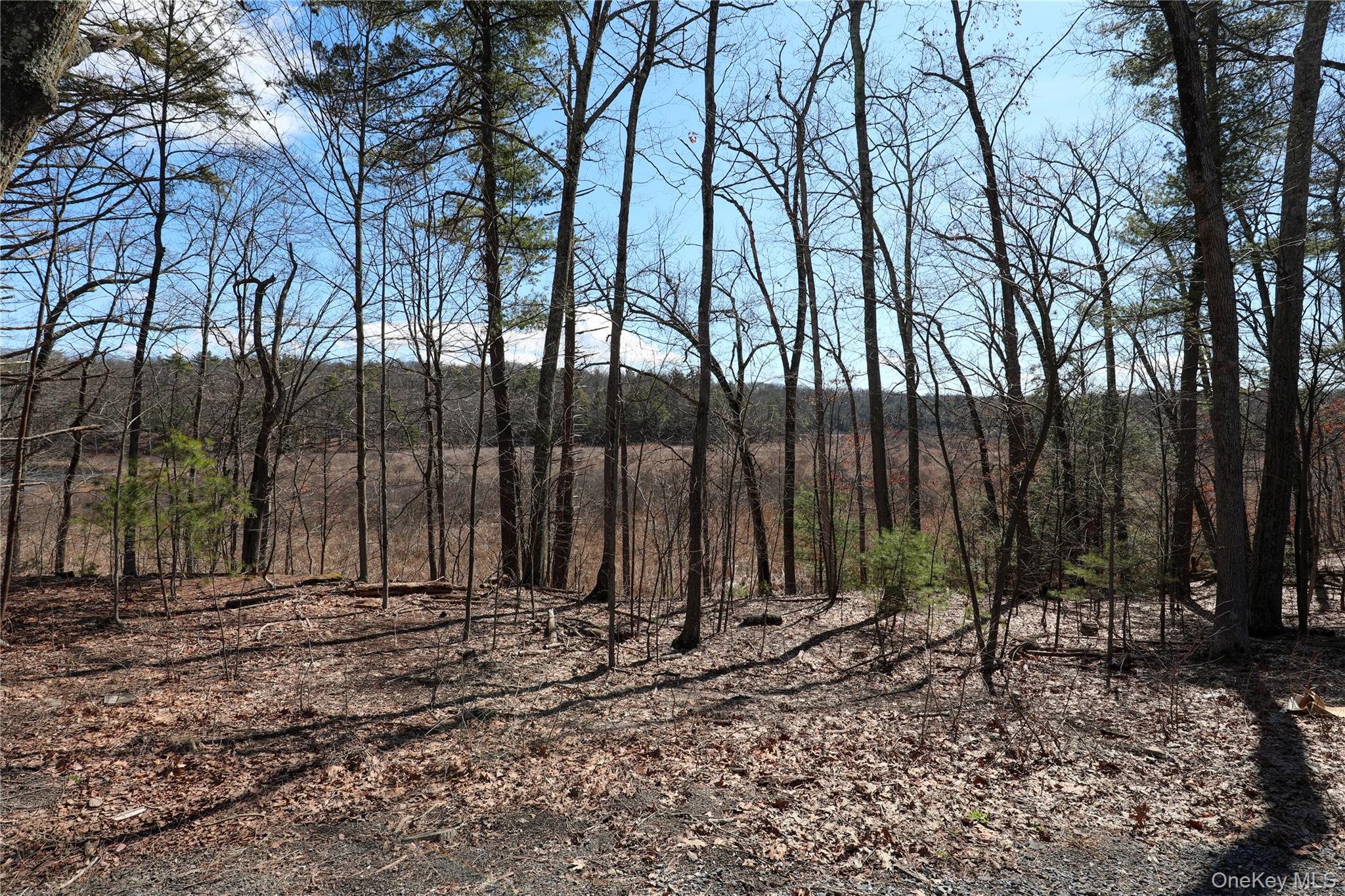 176 Lake Road Property Photo 4