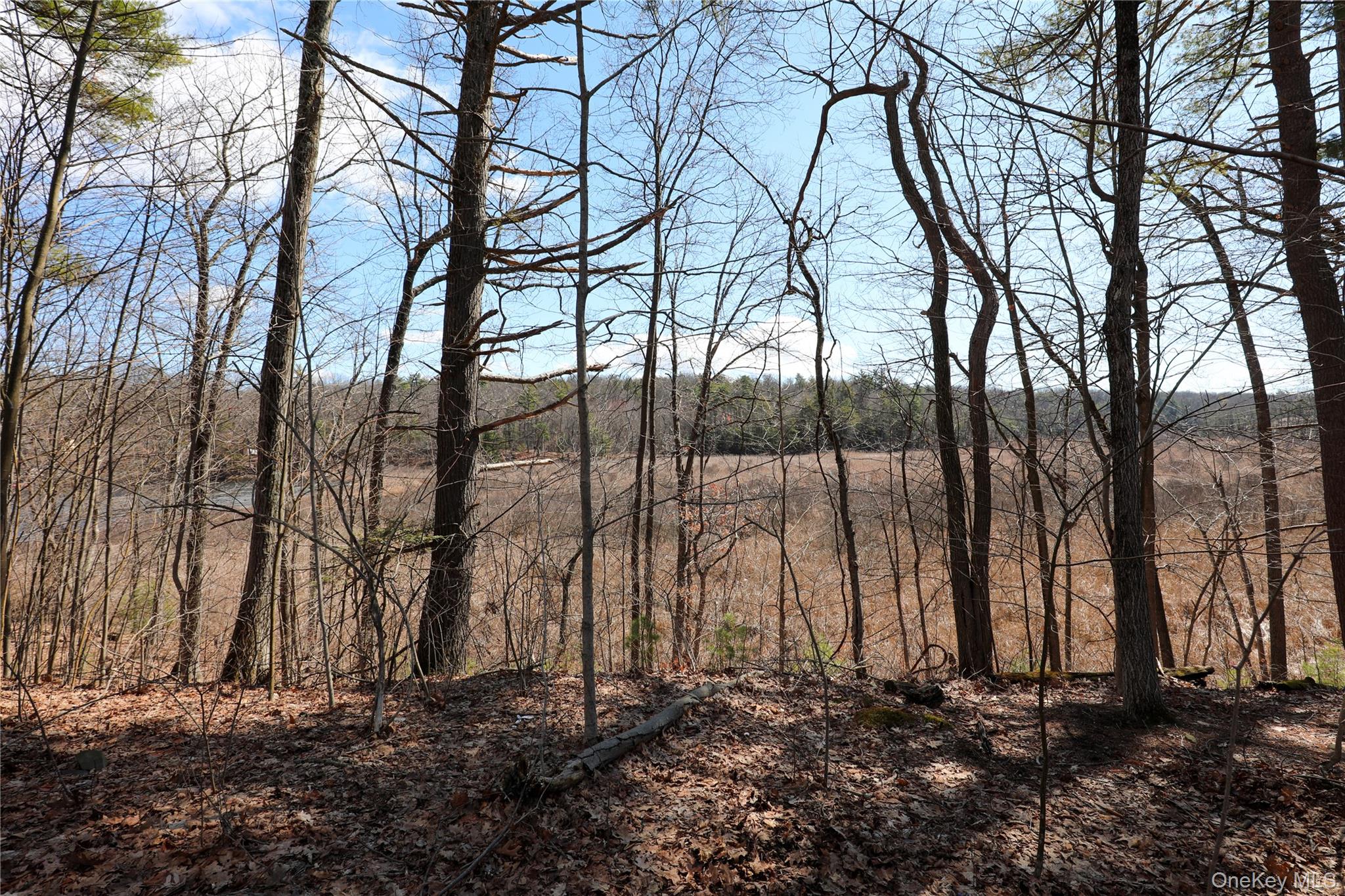 176 Lake Road Property Photo 5