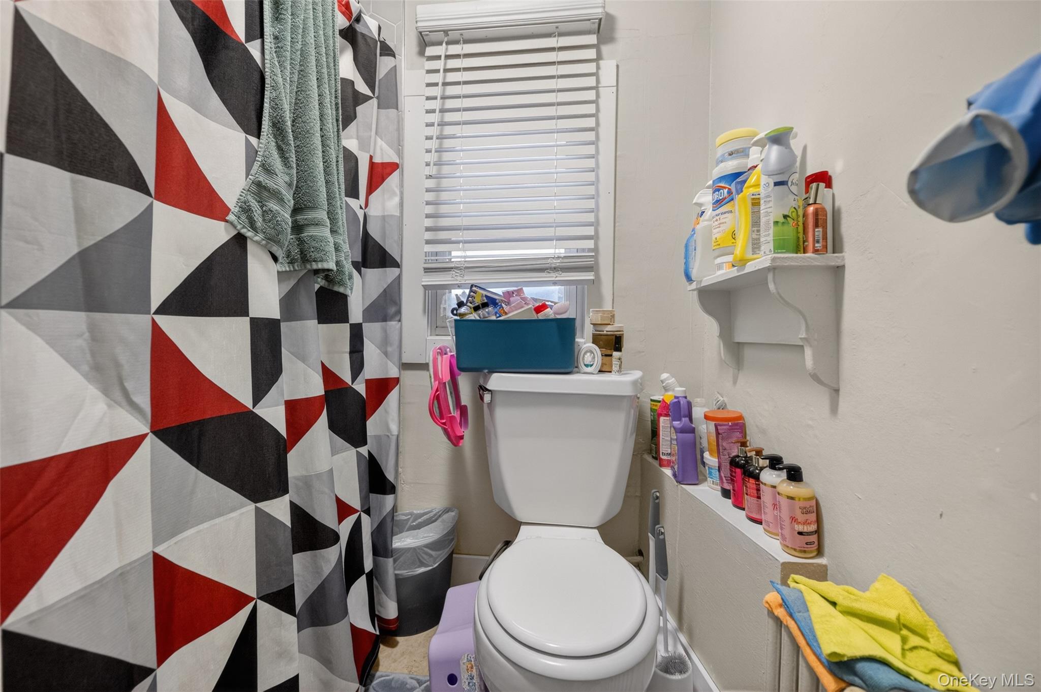 113 Old Bay Street Property Photo 24