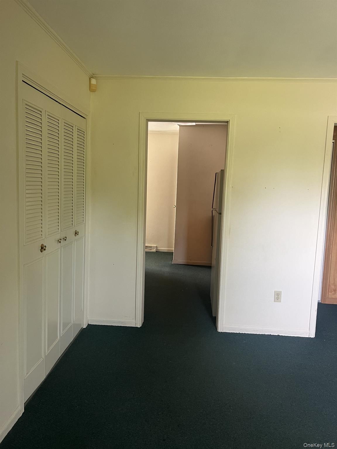 5 Mcdonald Road Property Photo 3