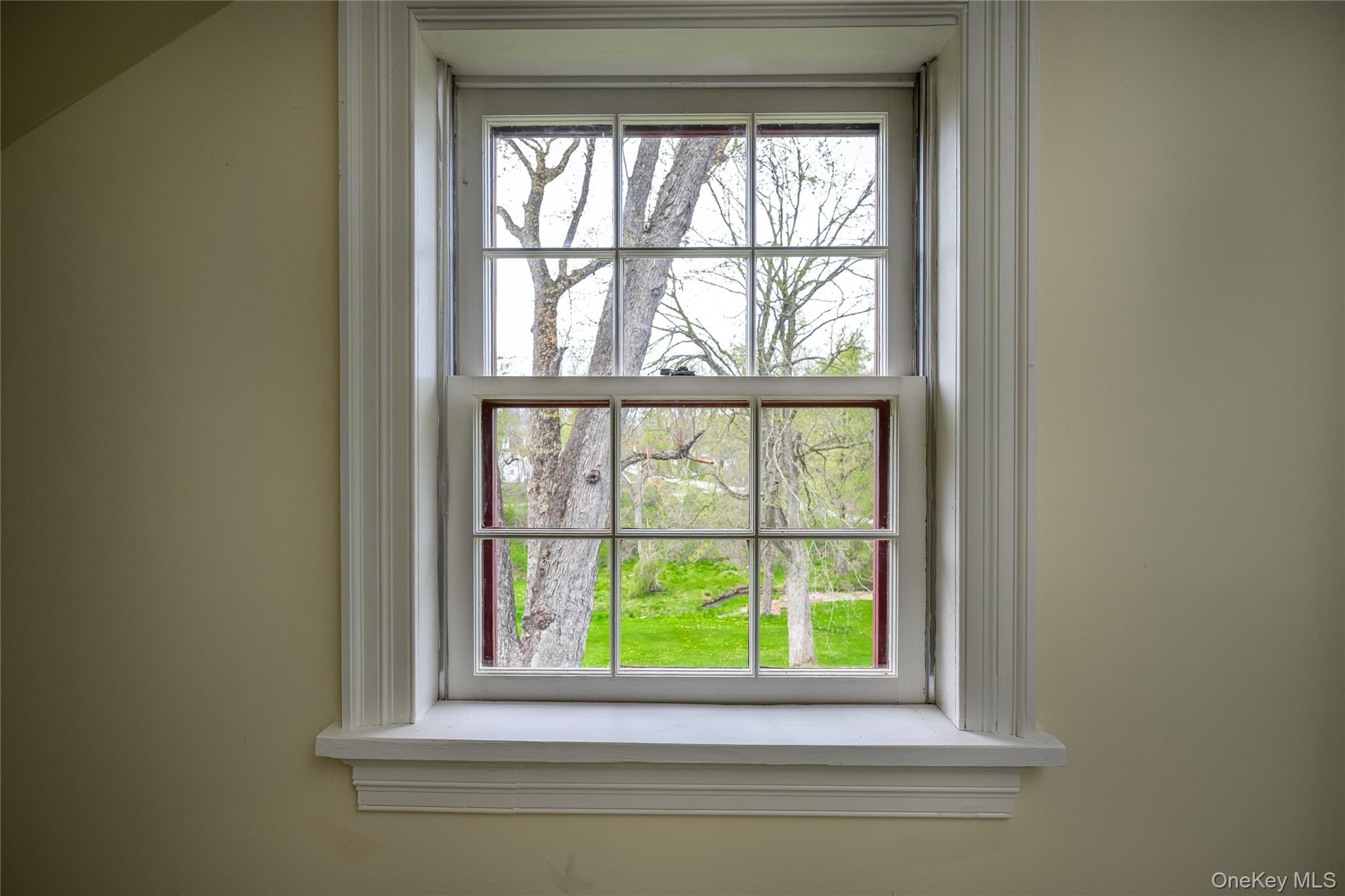 37 Sheffield Road Property Photo 20