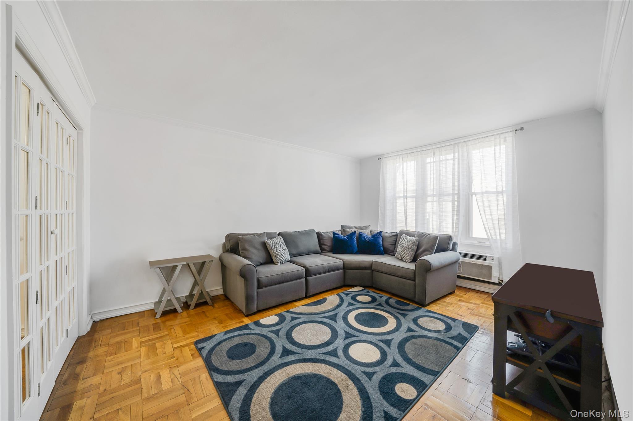 60 Hempstead Avenue 1o Property Photo 3