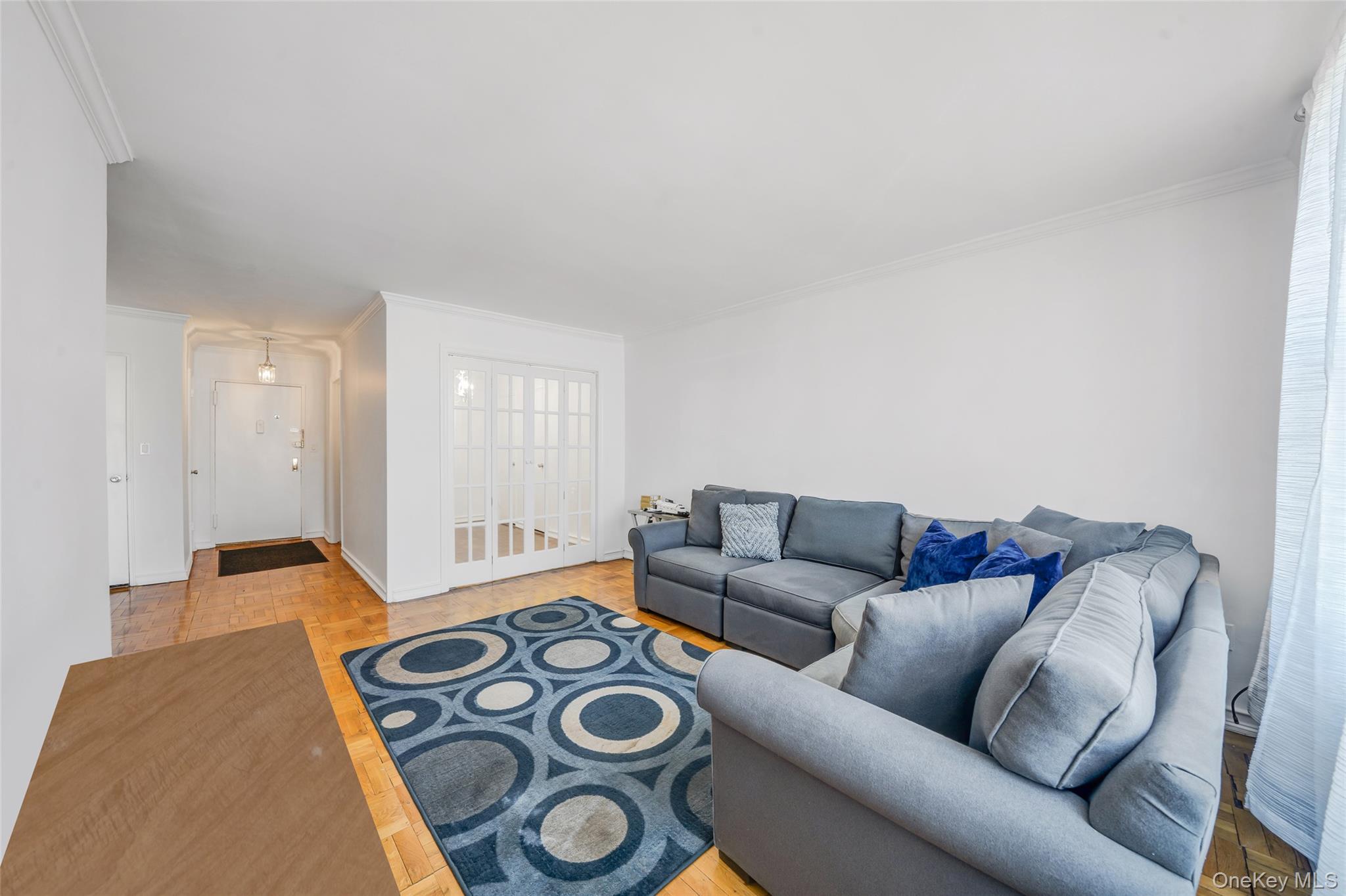 60 Hempstead Avenue 1o Property Photo 4