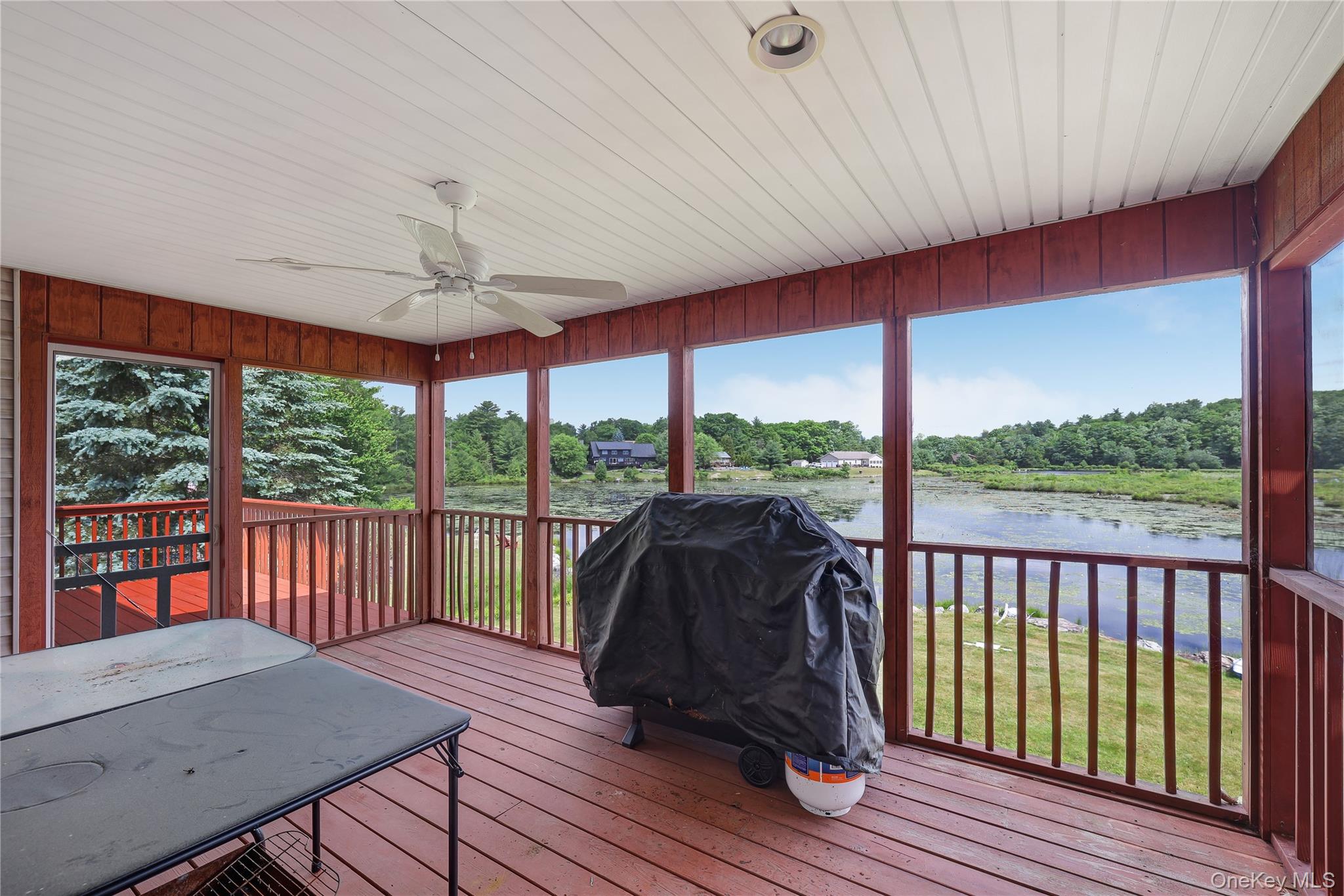 9 Surrey Street Property Photo 49