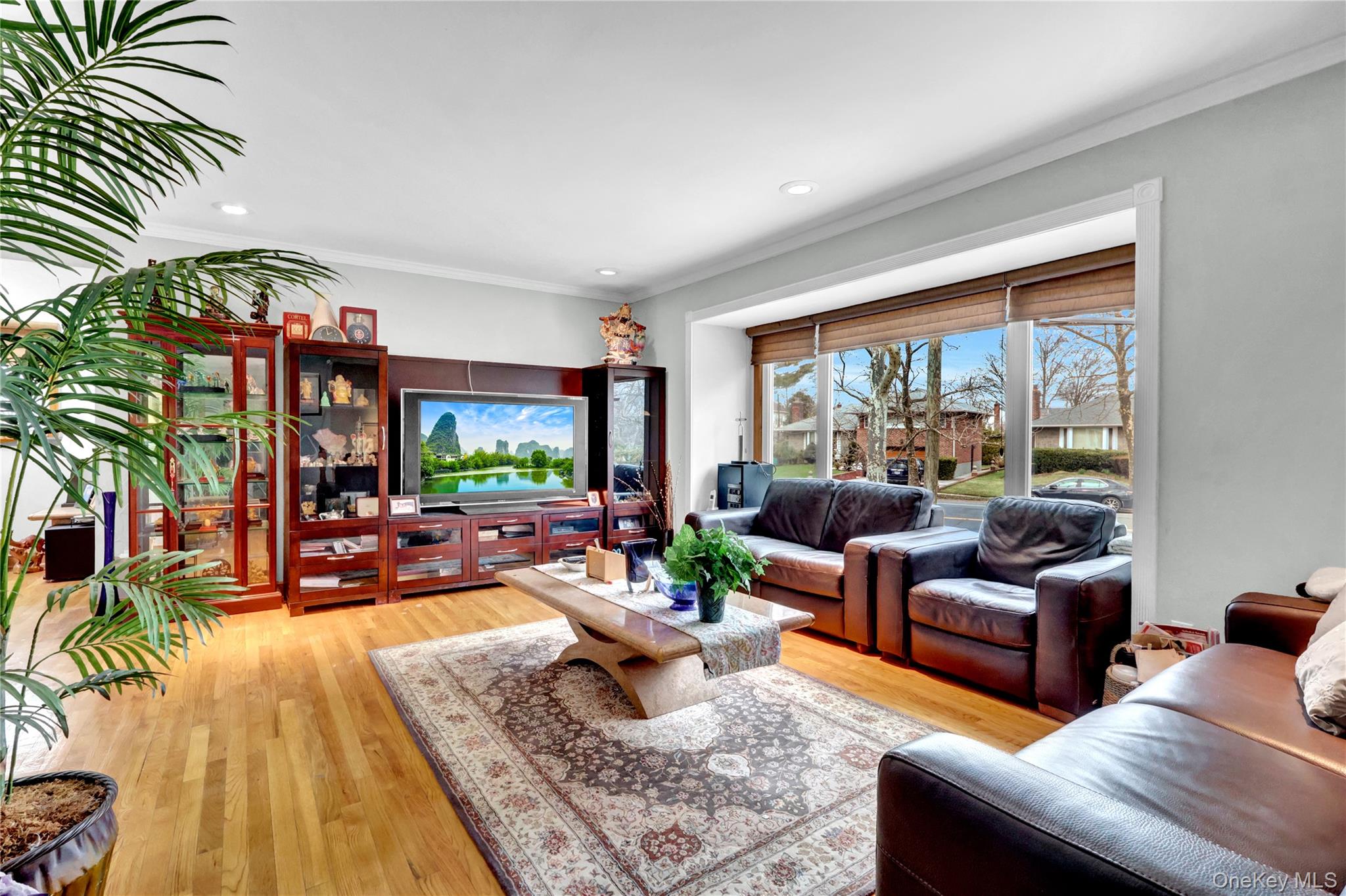 125 Marcus Avenue Property Photo 6