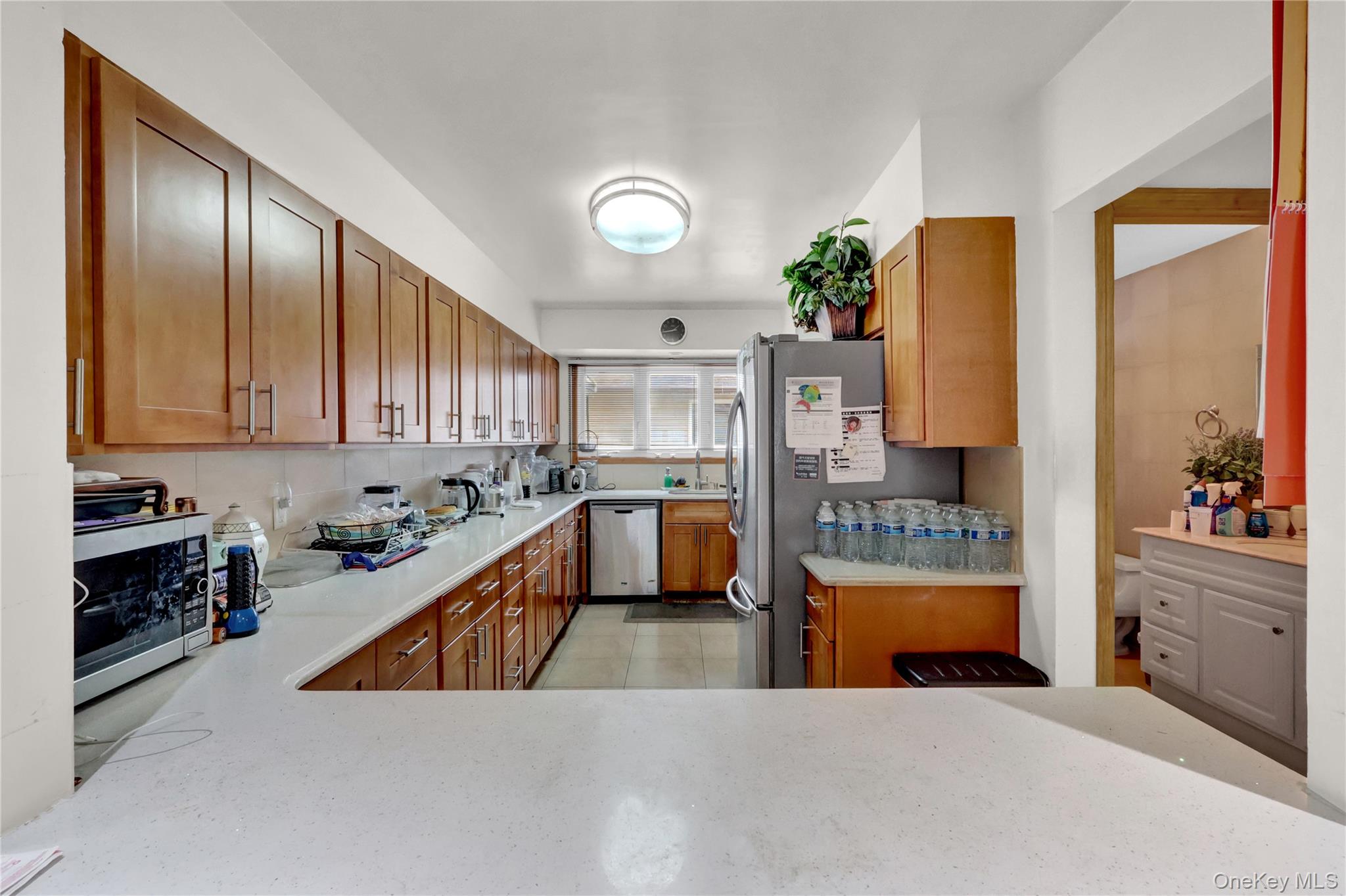 125 Marcus Avenue Property Photo 10