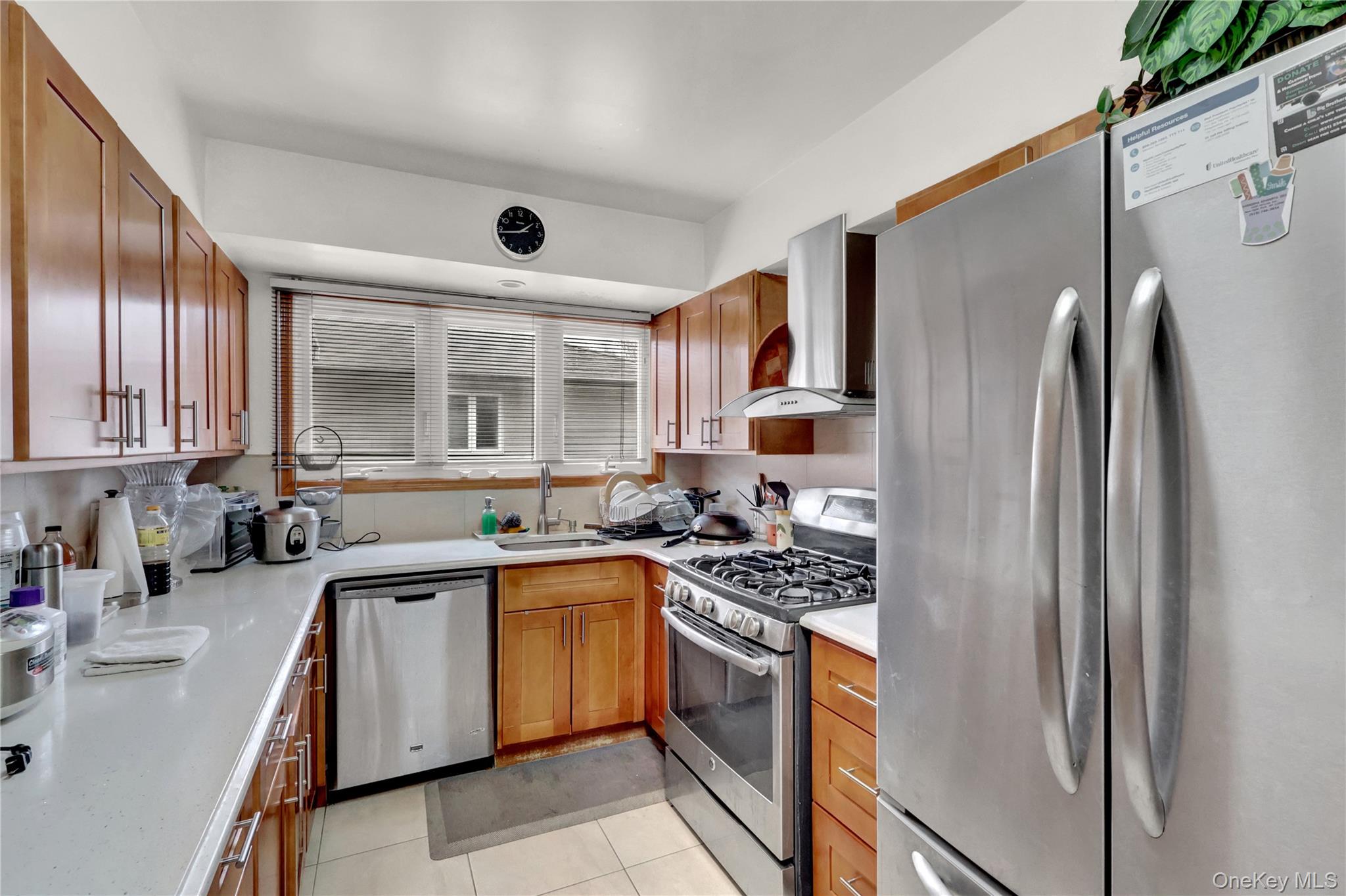 125 Marcus Avenue Property Photo 11