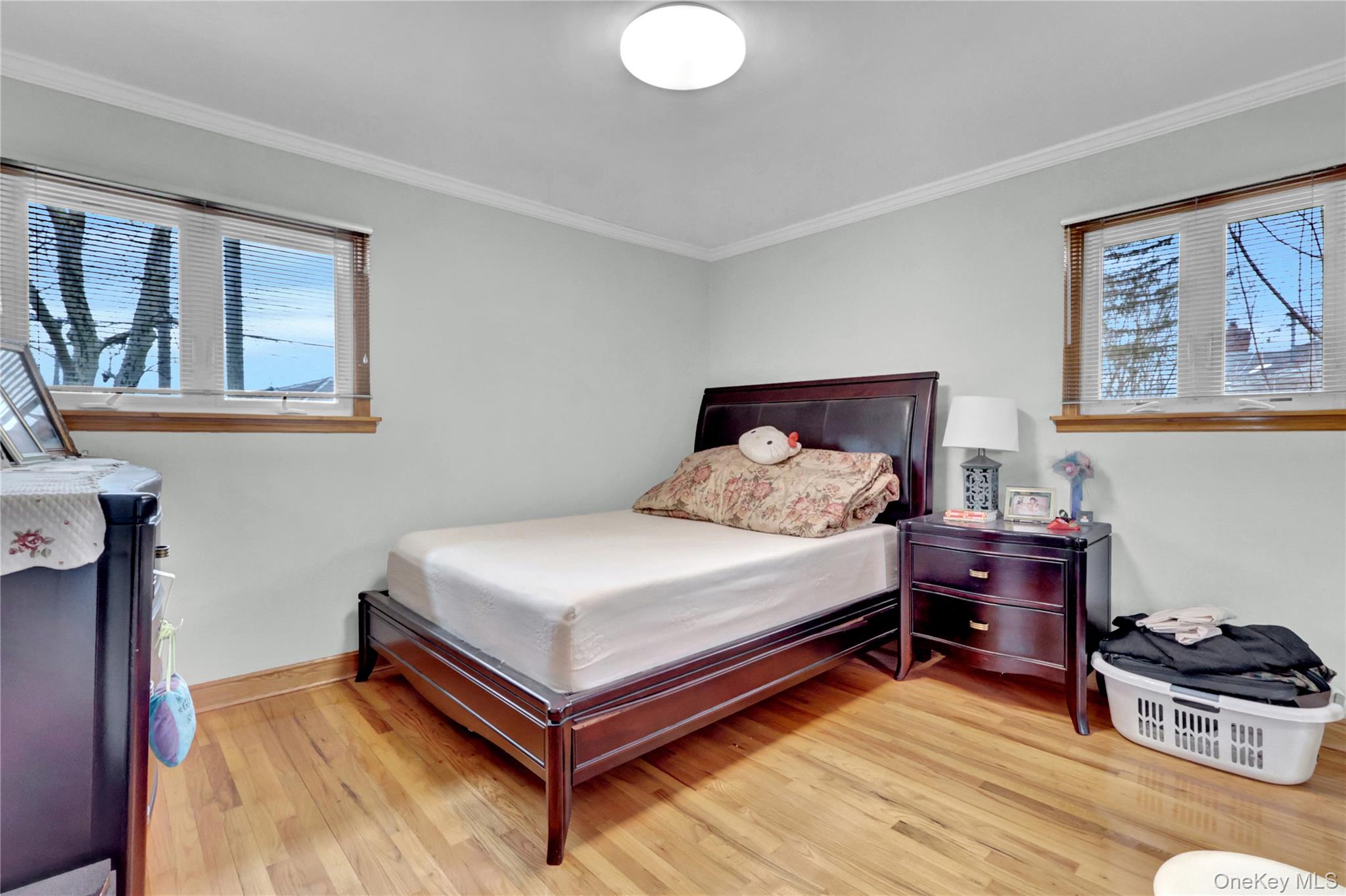 125 Marcus Avenue Property Photo 15