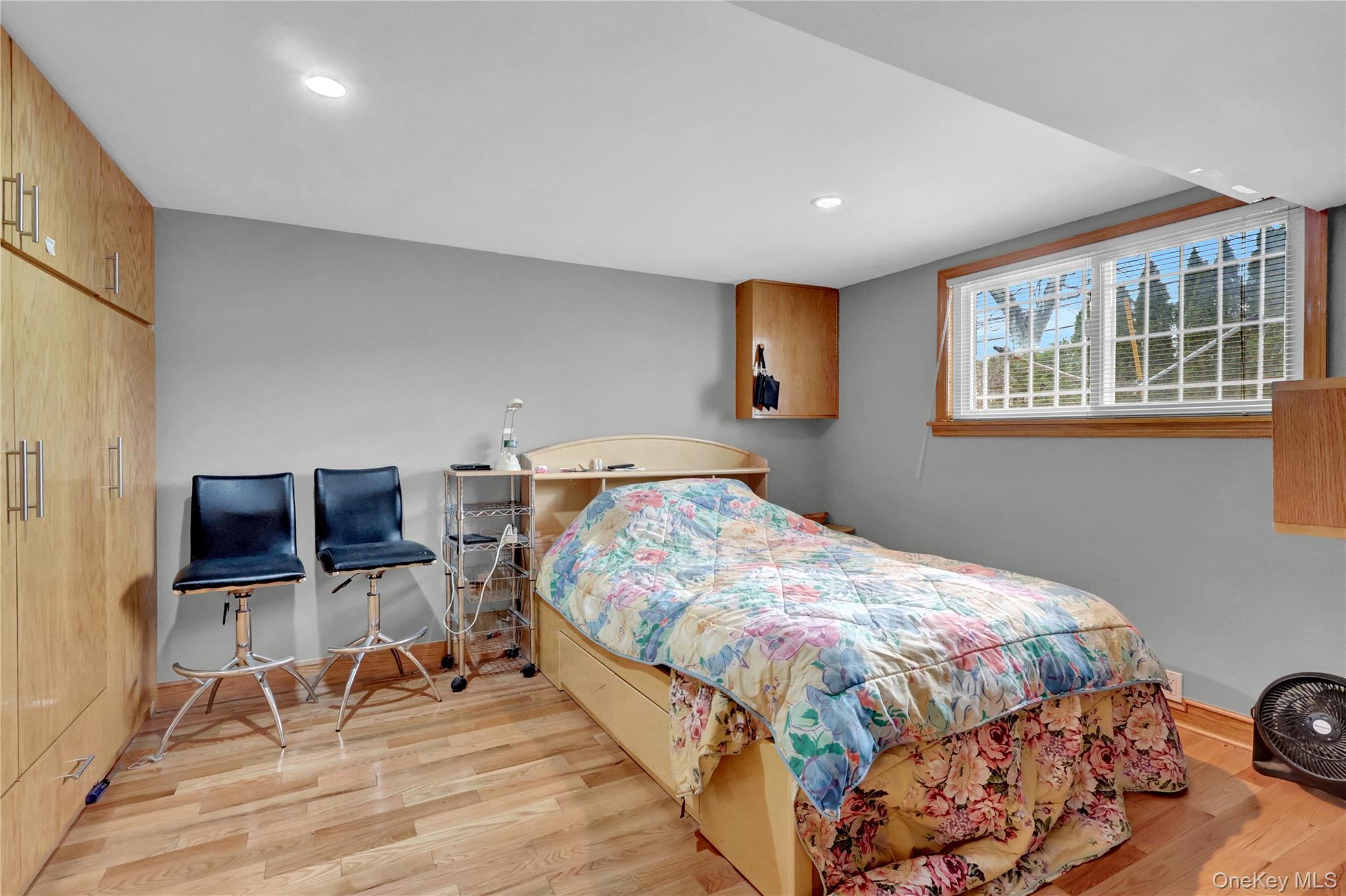 125 Marcus Avenue Property Photo 17