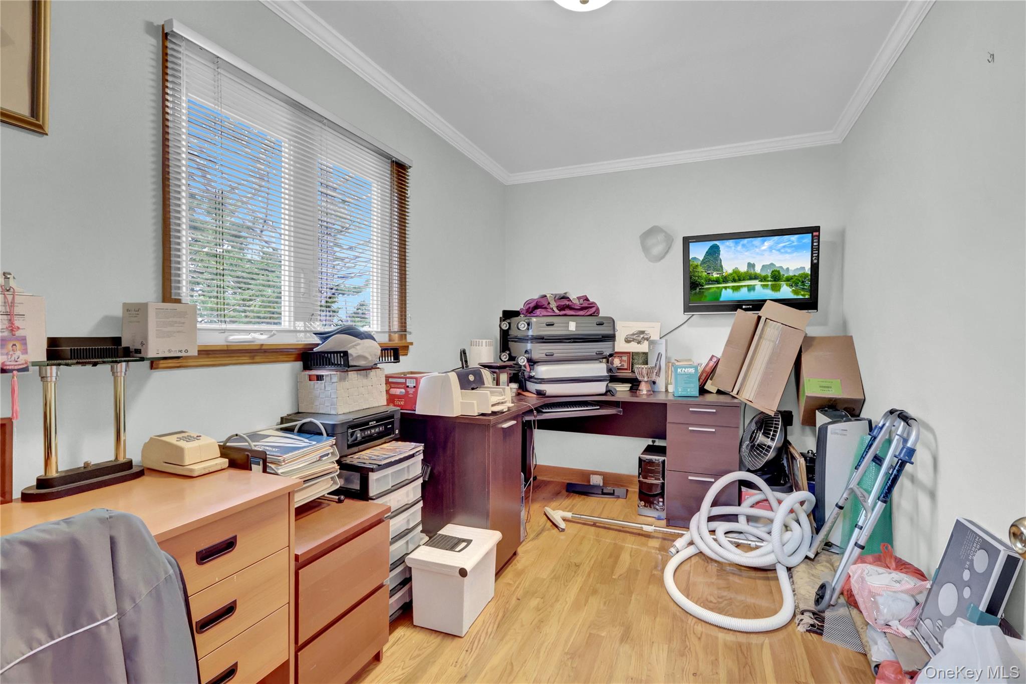 125 Marcus Avenue Property Photo 18