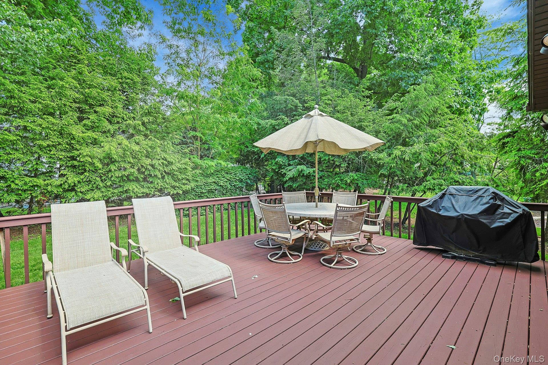8 Sasson Terrace Property Photo 9