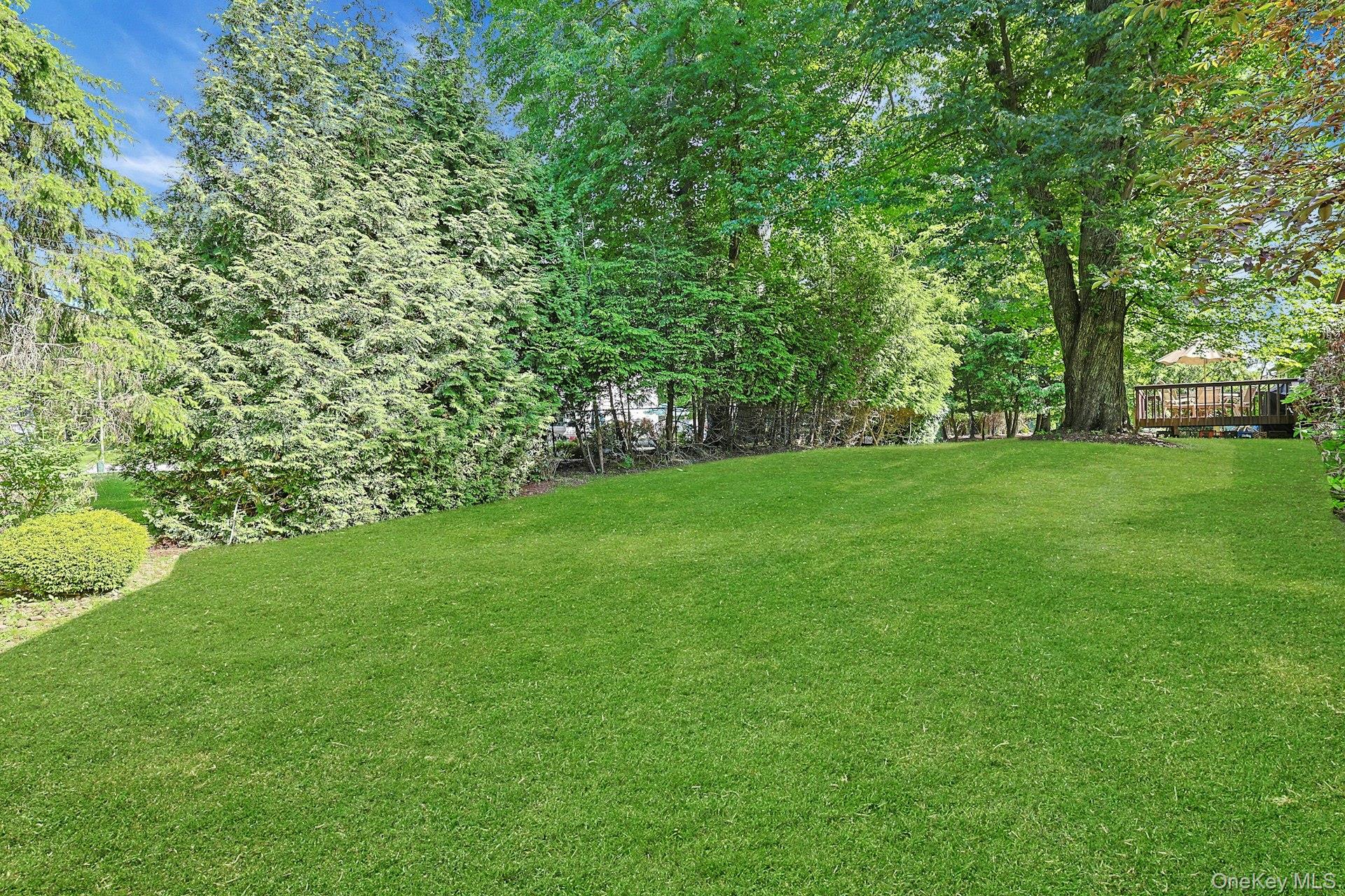 8 Sasson Terrace Property Photo 11